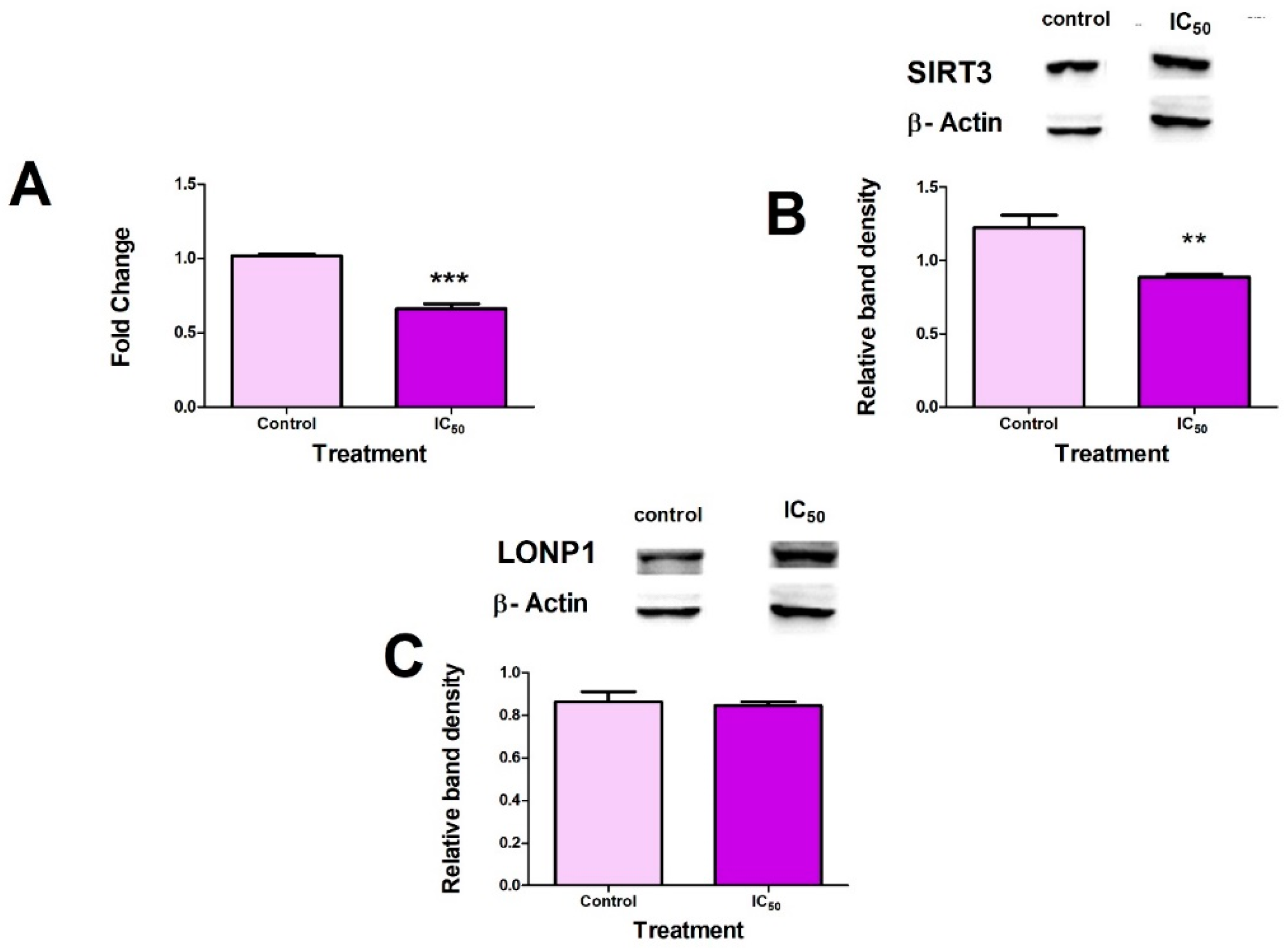Toxins 14 00171 g004