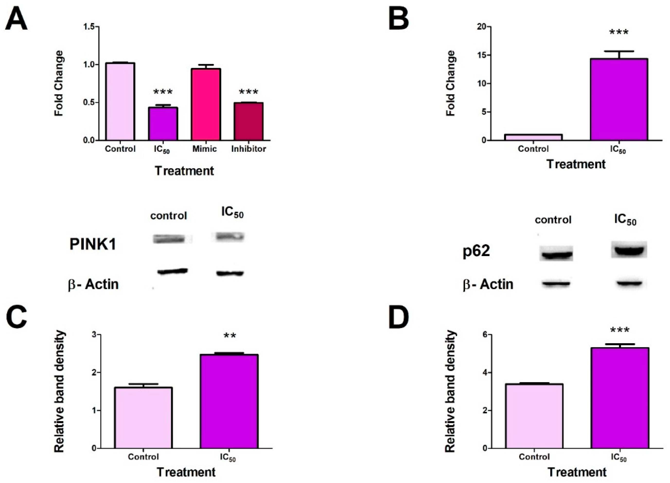 Toxins 14 00171 g006