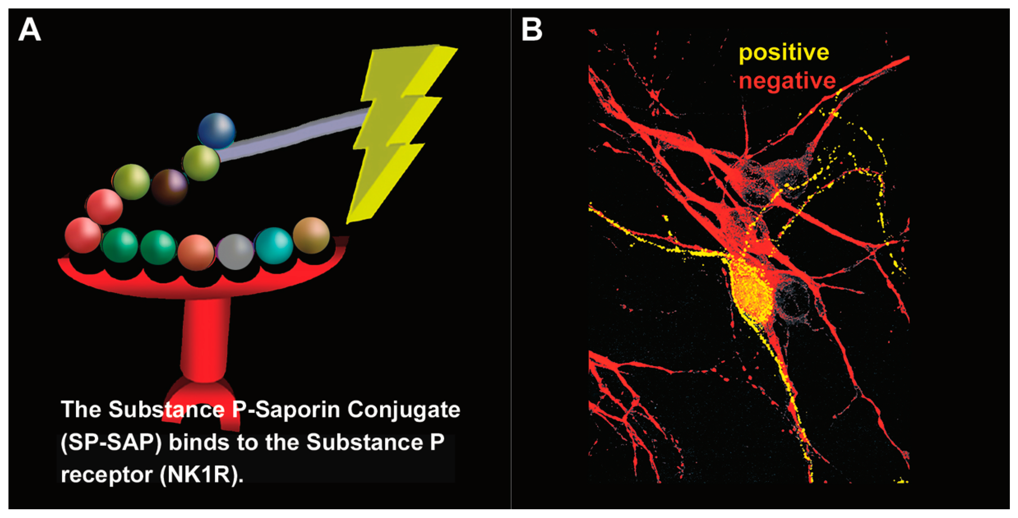 Toxins 14 00184 g006 Toxins 14 00184 g006