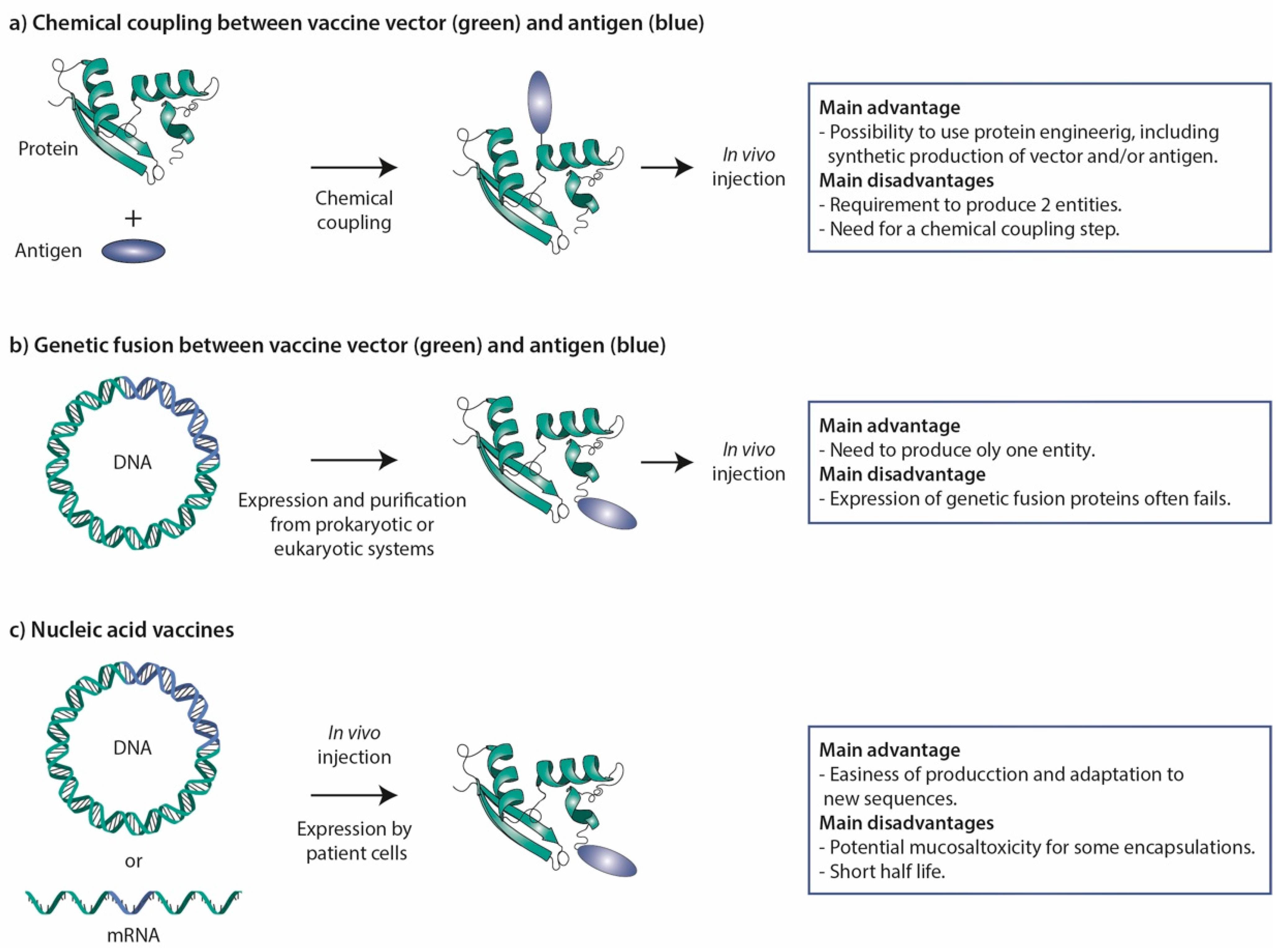 Toxins 14 00202 g003