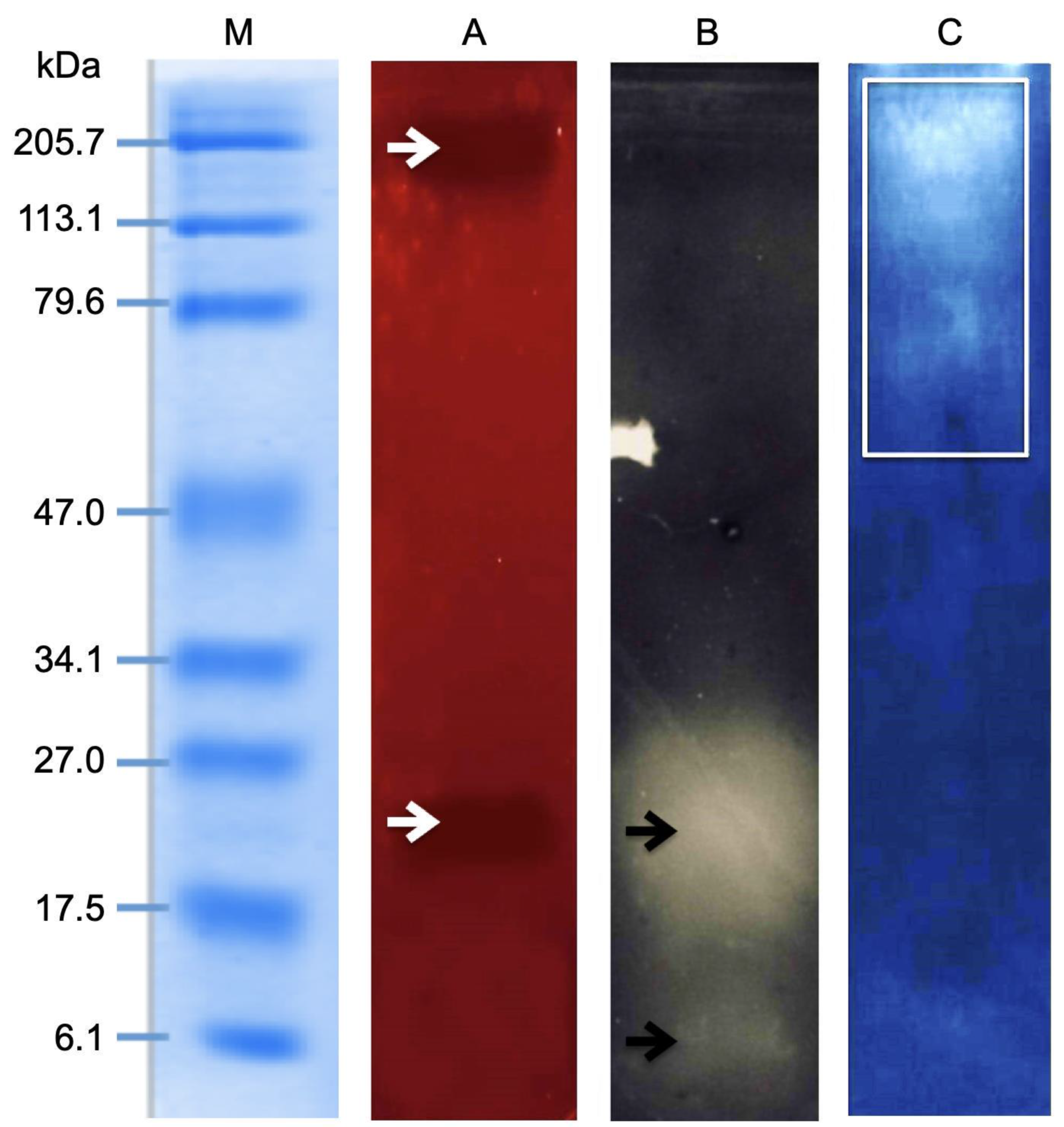 Toxins 14 00206 g004