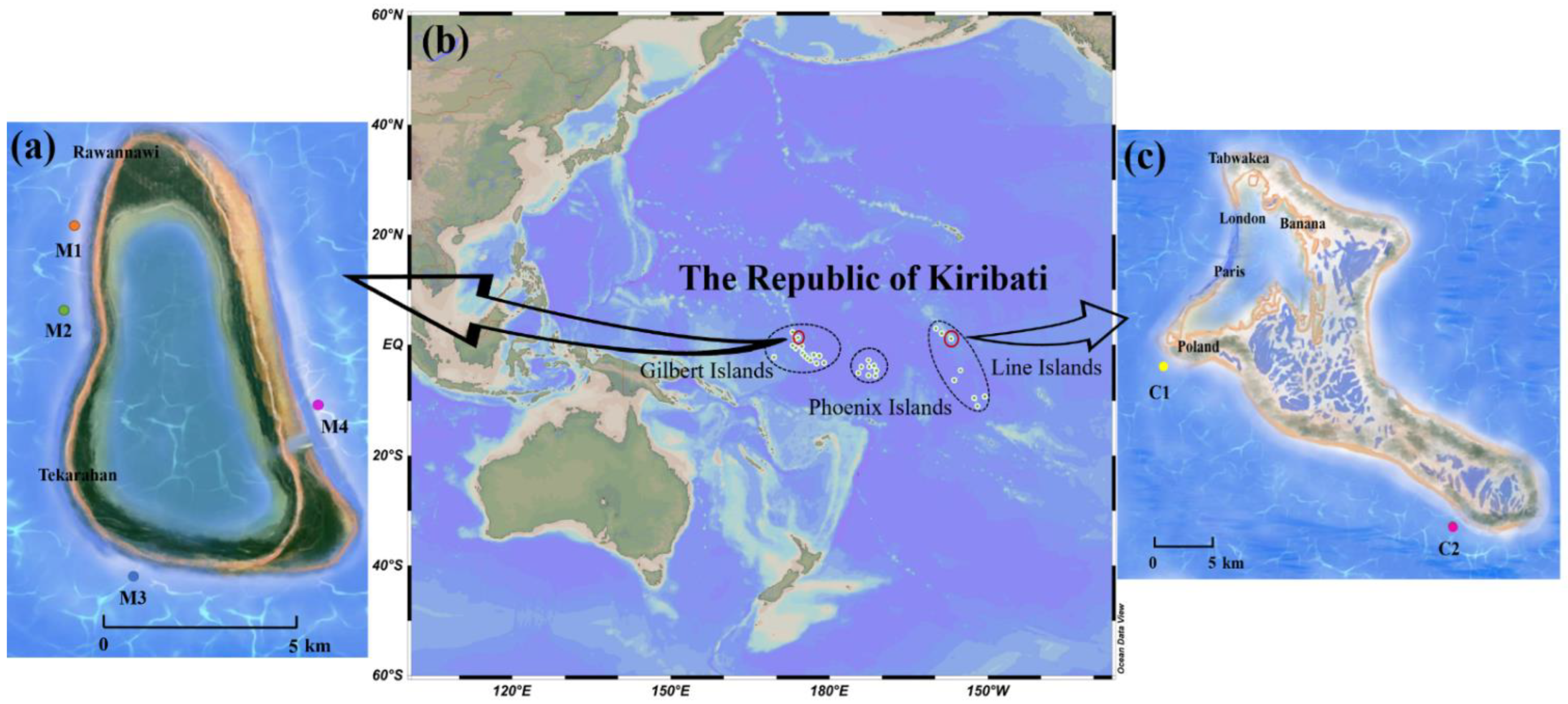 Toxins 14 00208 g003