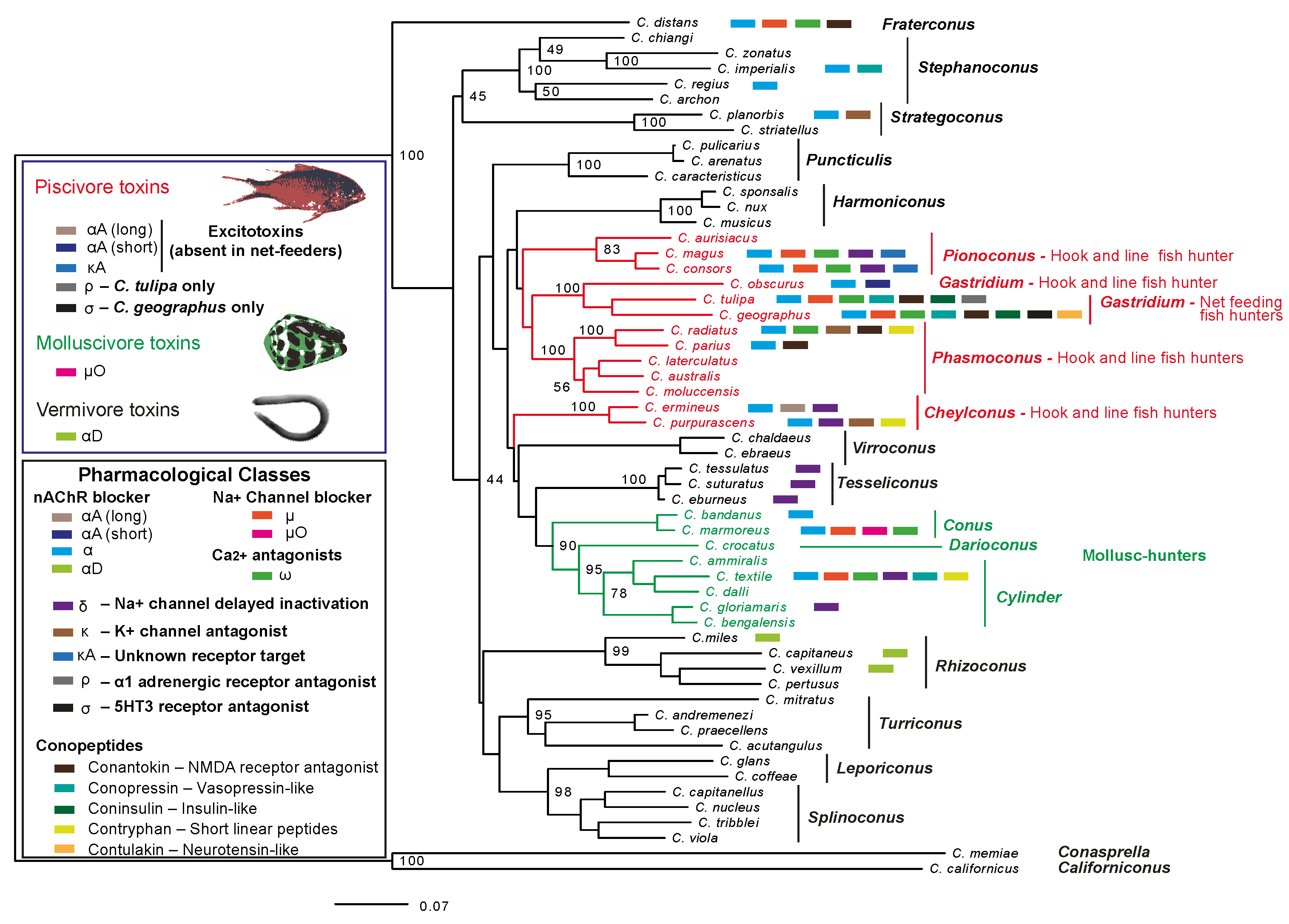 Toxins 14 00226 g006
