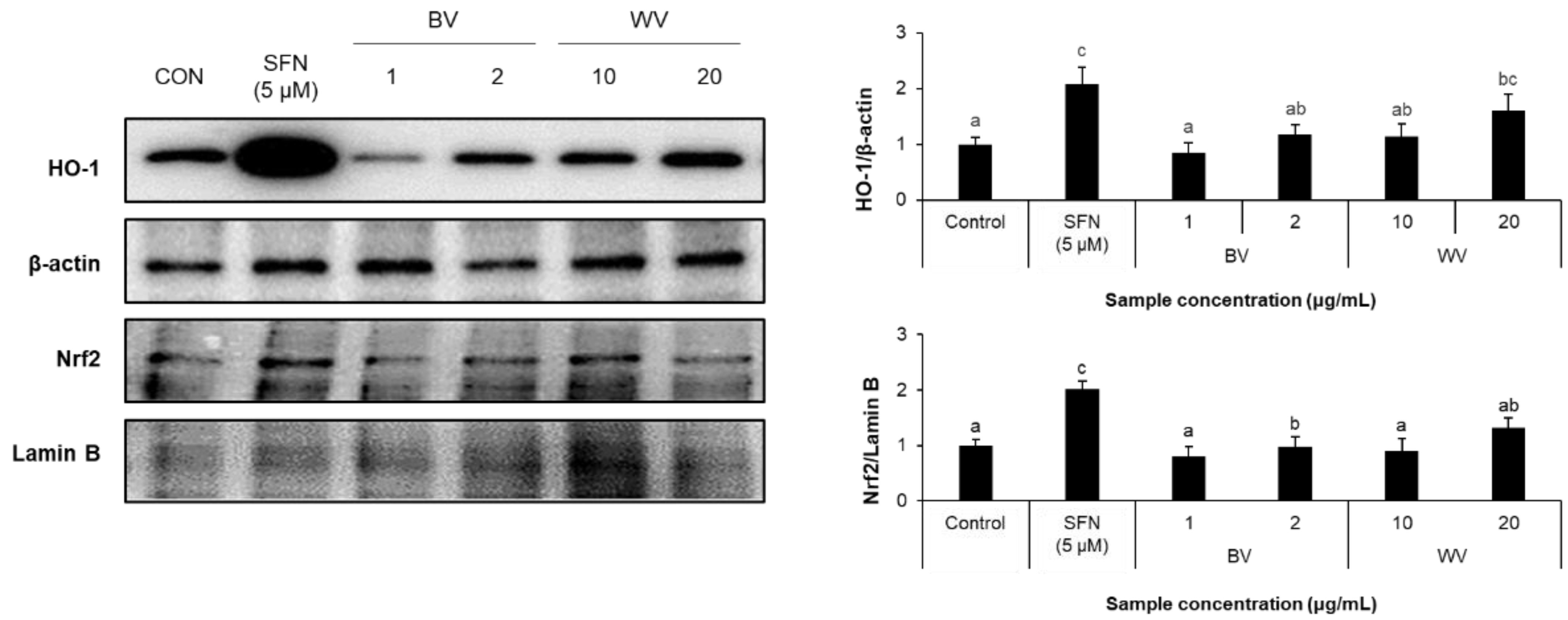 Toxins 14 00256 g004