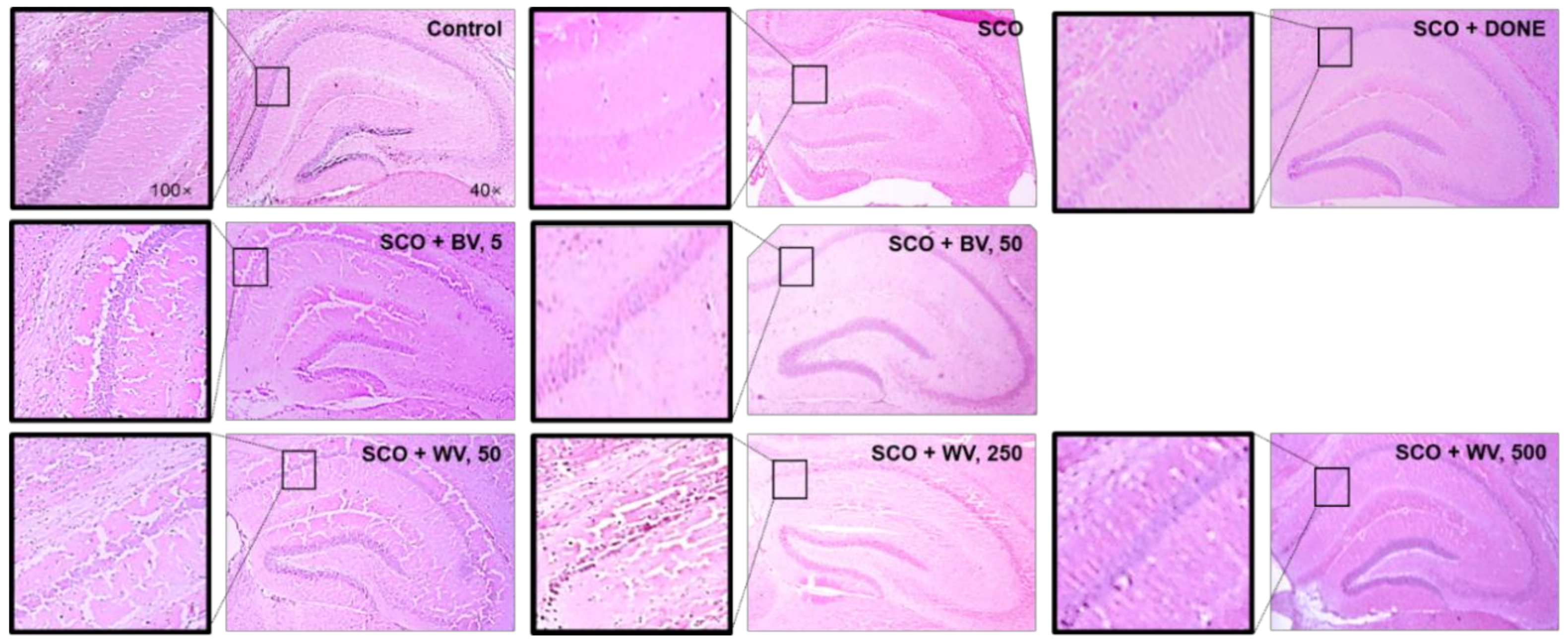 Toxins 14 00256 g009