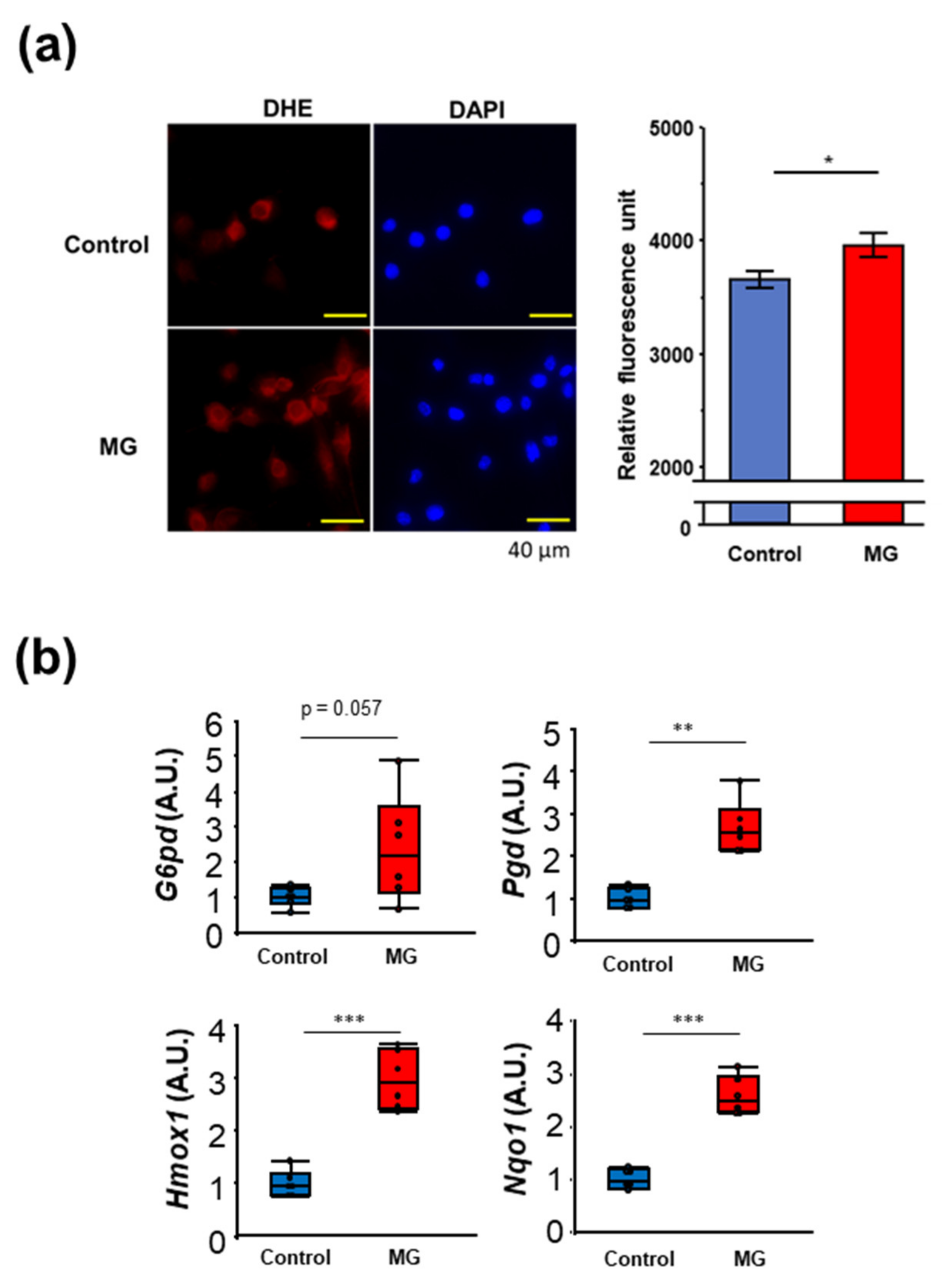 Toxins 14 00263 g002
