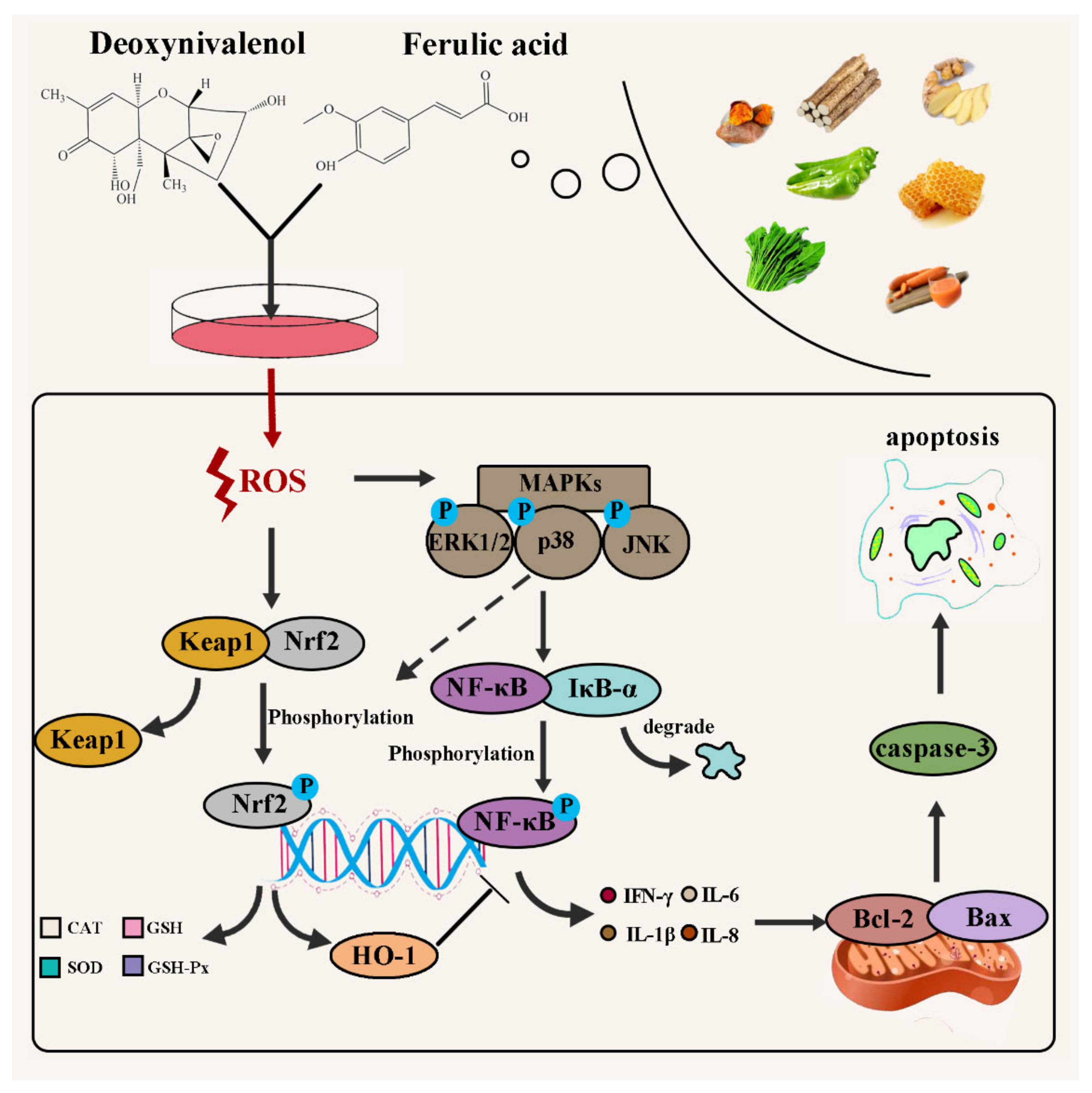 Toxins 14 00275 g008