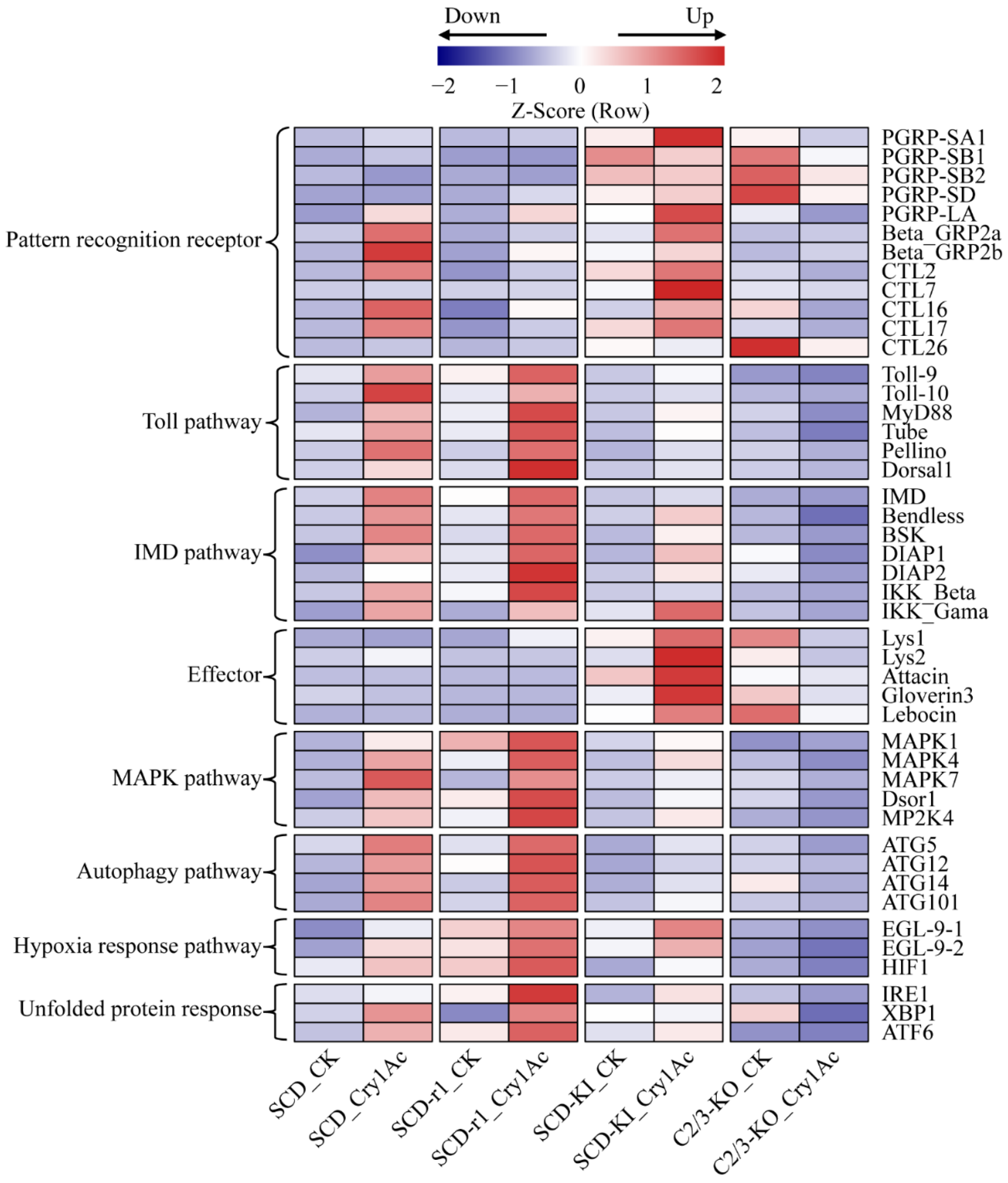 Toxins 14 00366 g006