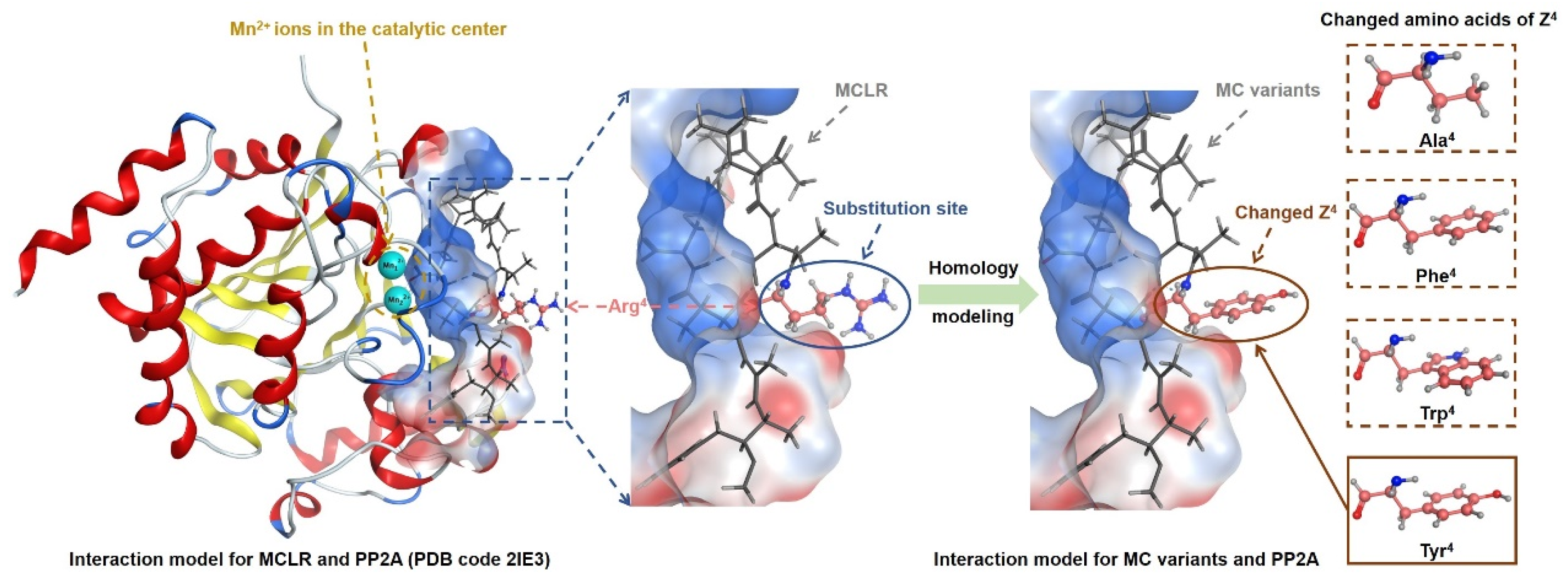 Toxins 14 00390 g003