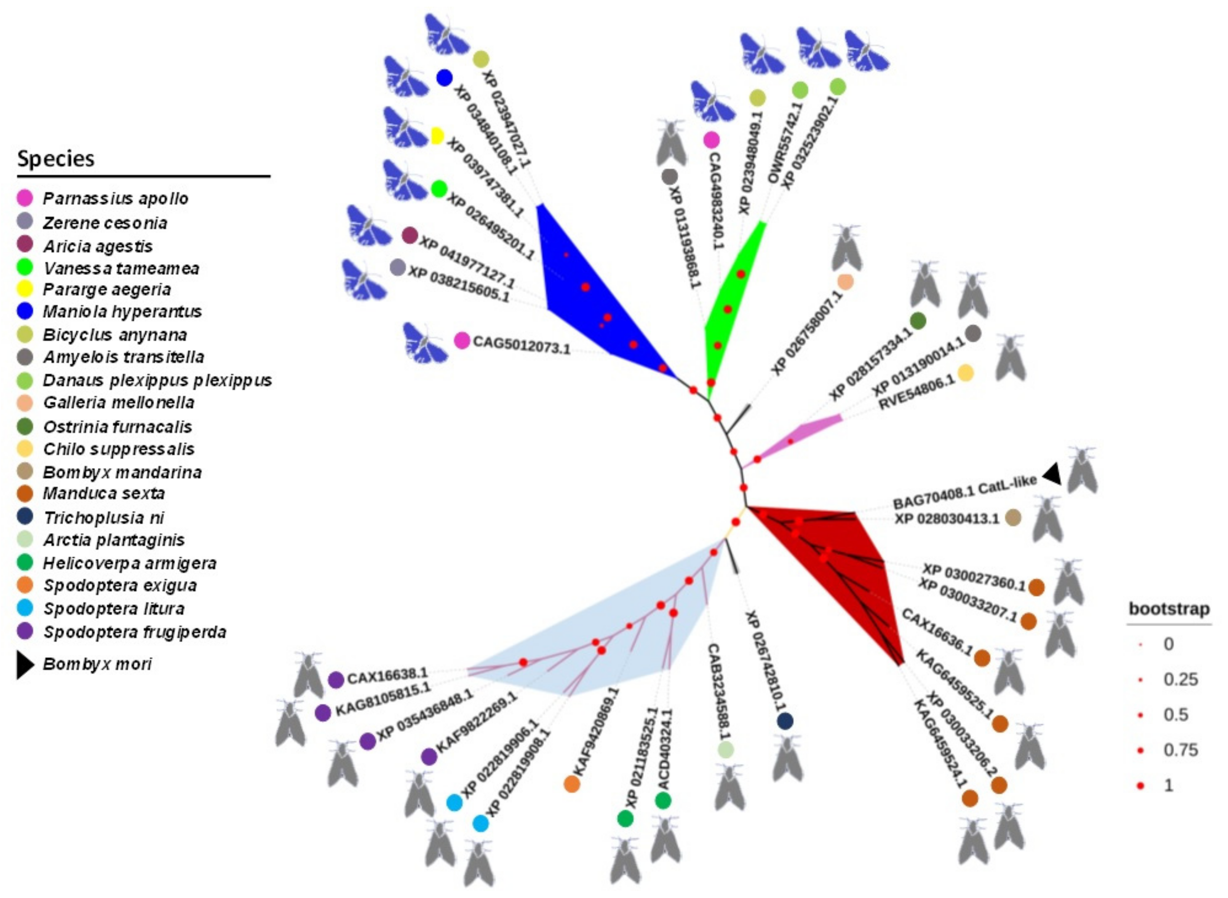 Toxins 14 00394 g005