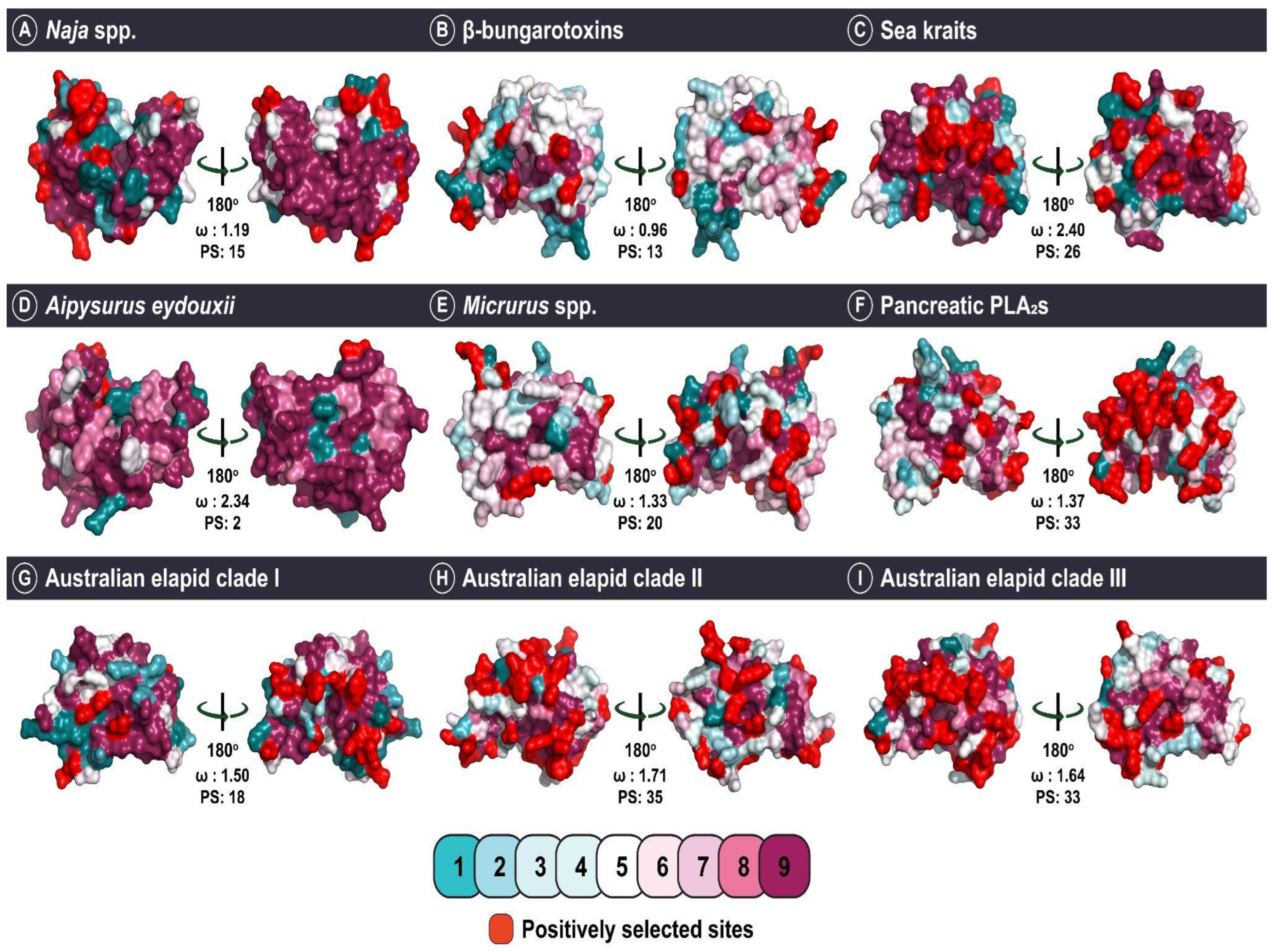 Toxins 14 00420 g003 Toxins 14 00420 g003