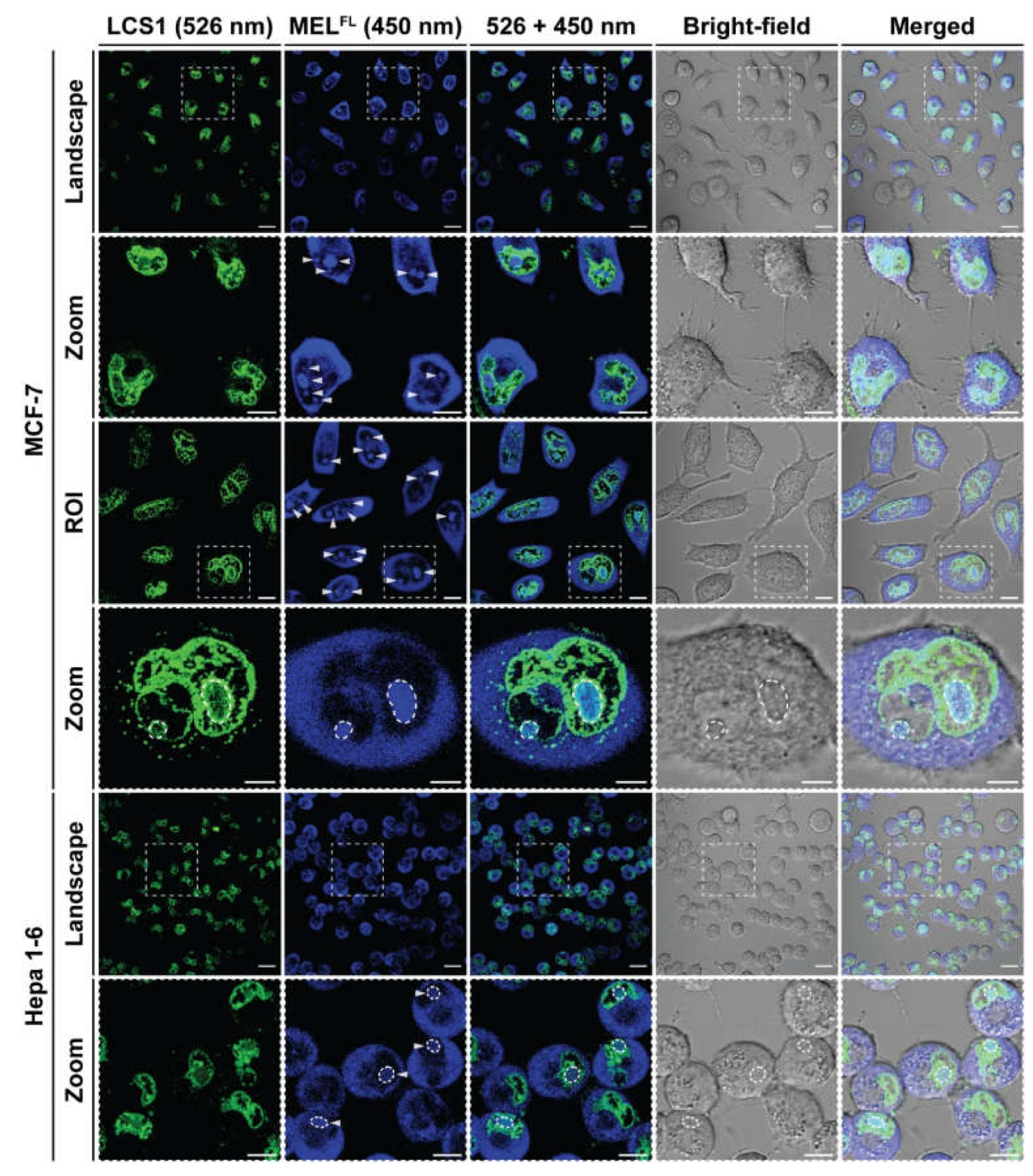 Toxins 14 00428 g006