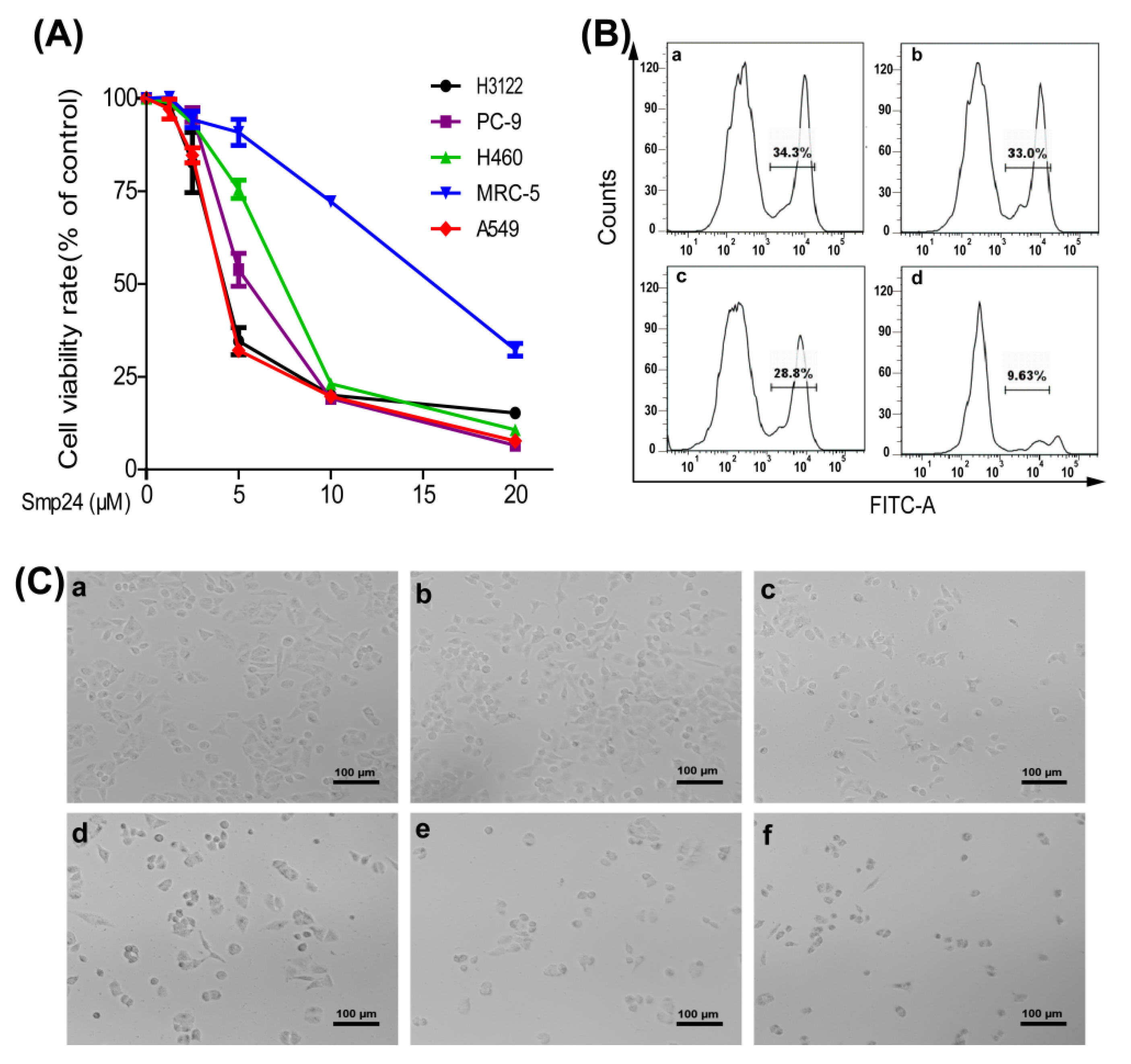 Toxins 14 00438 g001