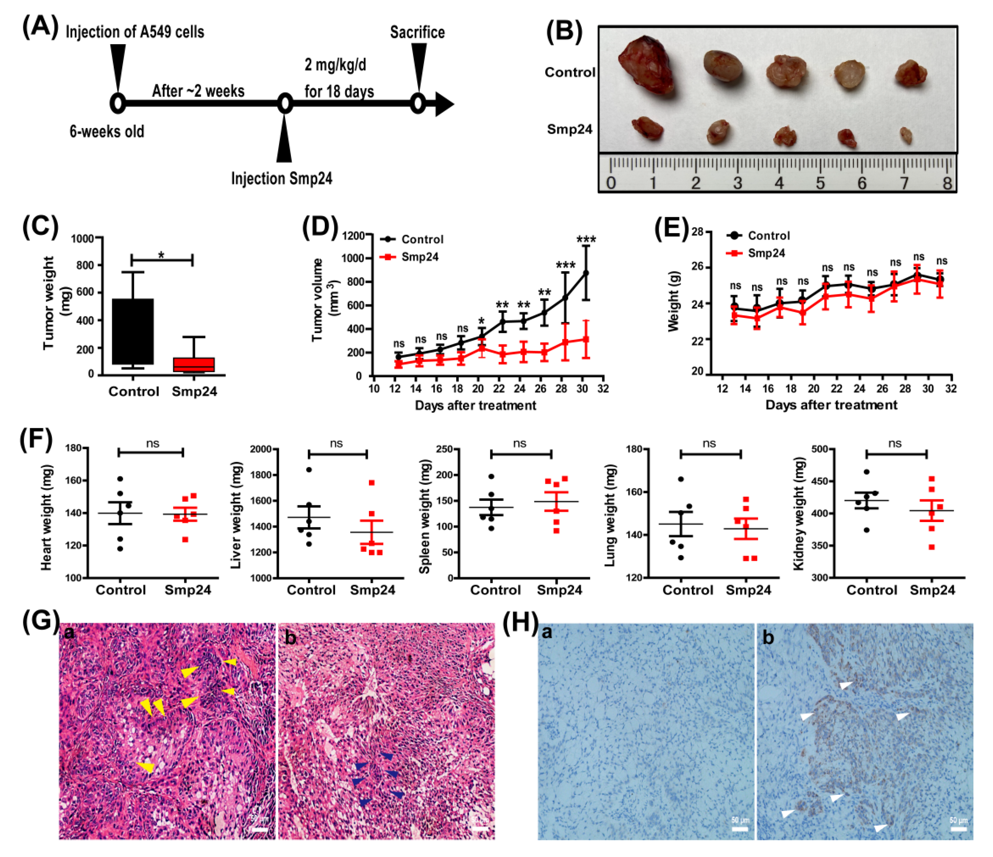 Toxins 14 00438 g004