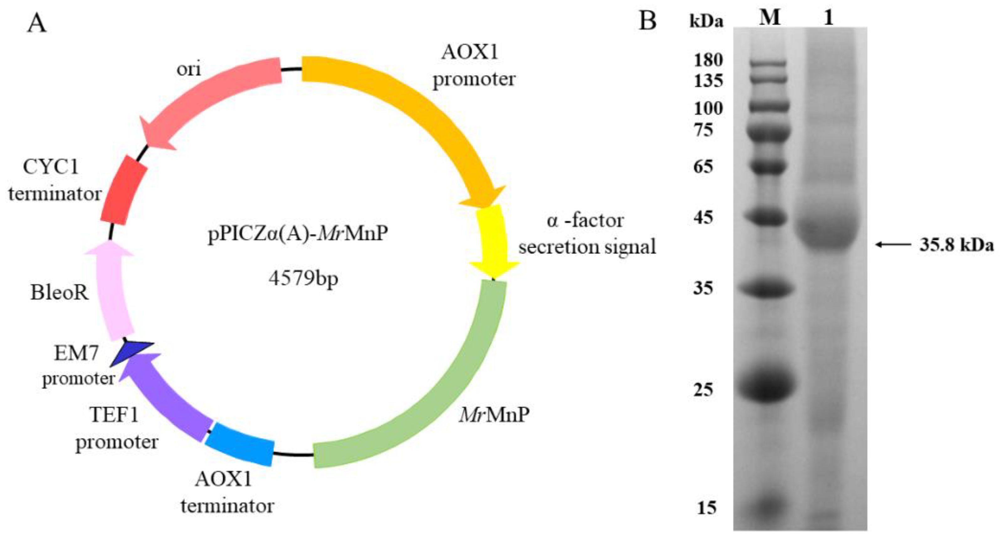 Toxins 14 00440 g002 Toxins 14 00440 g002