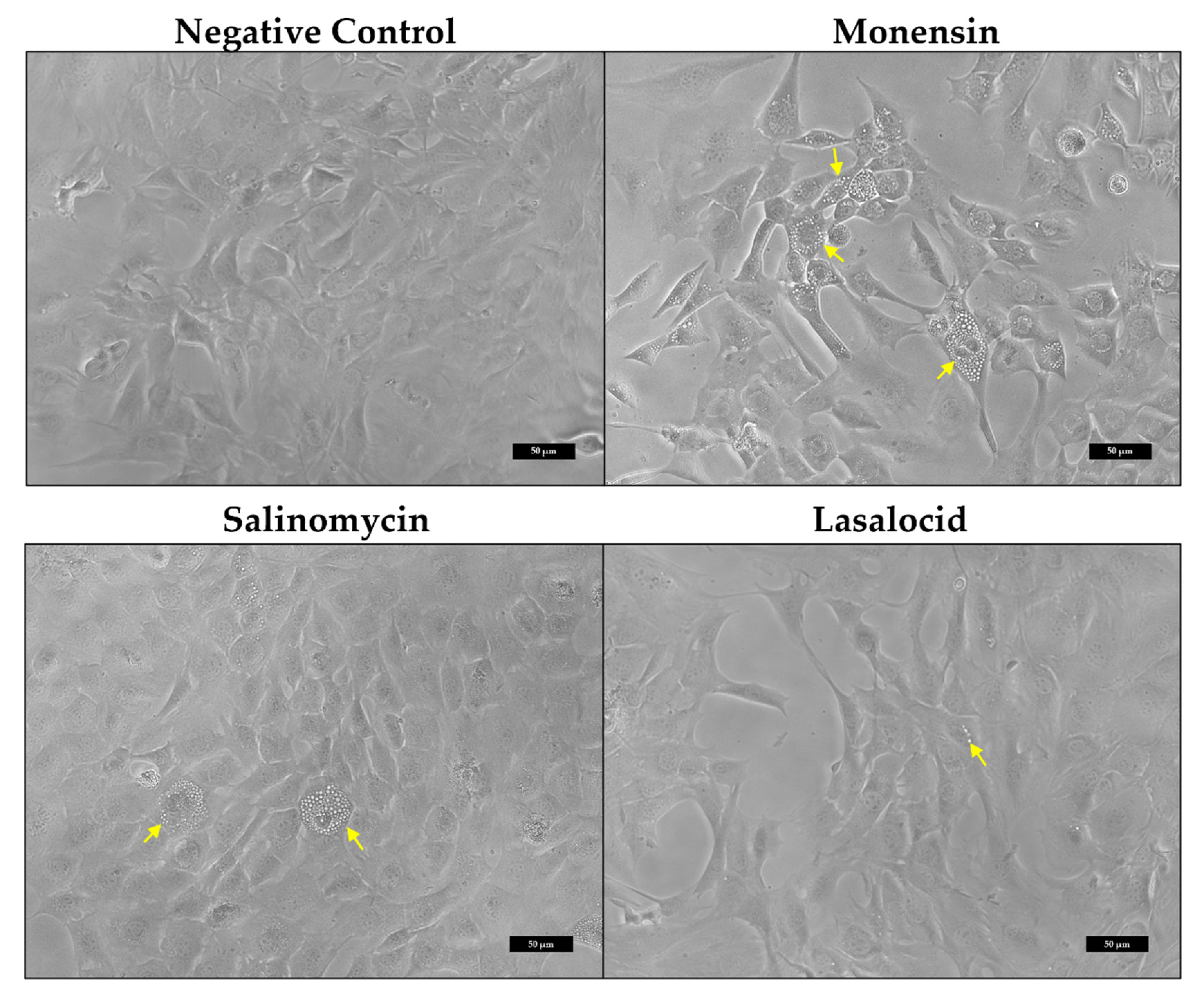 Toxins 14 00447 g002 Toxins 14 00447 g002