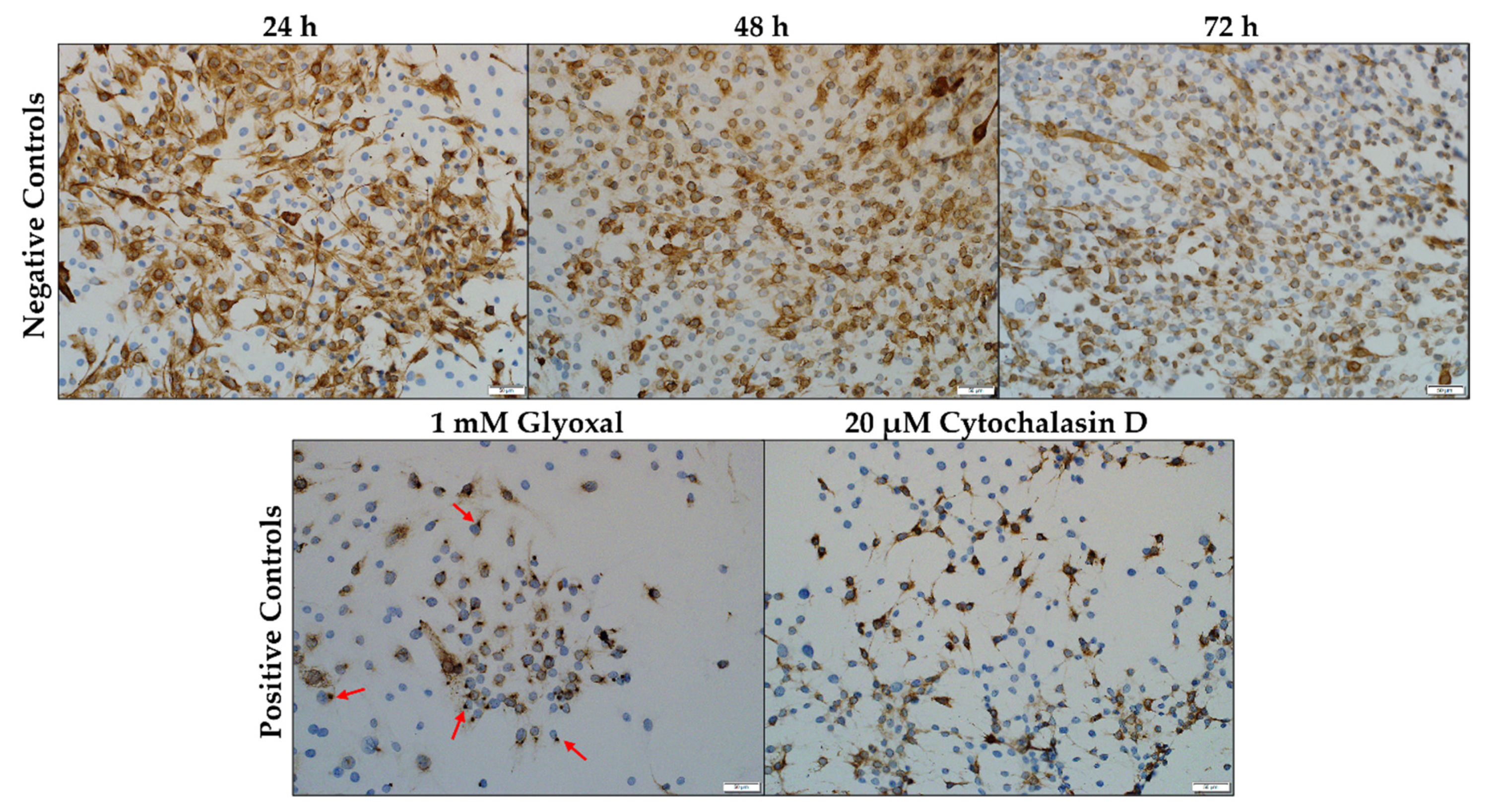 Toxins 14 00447 g003 Toxins 14 00447 g003