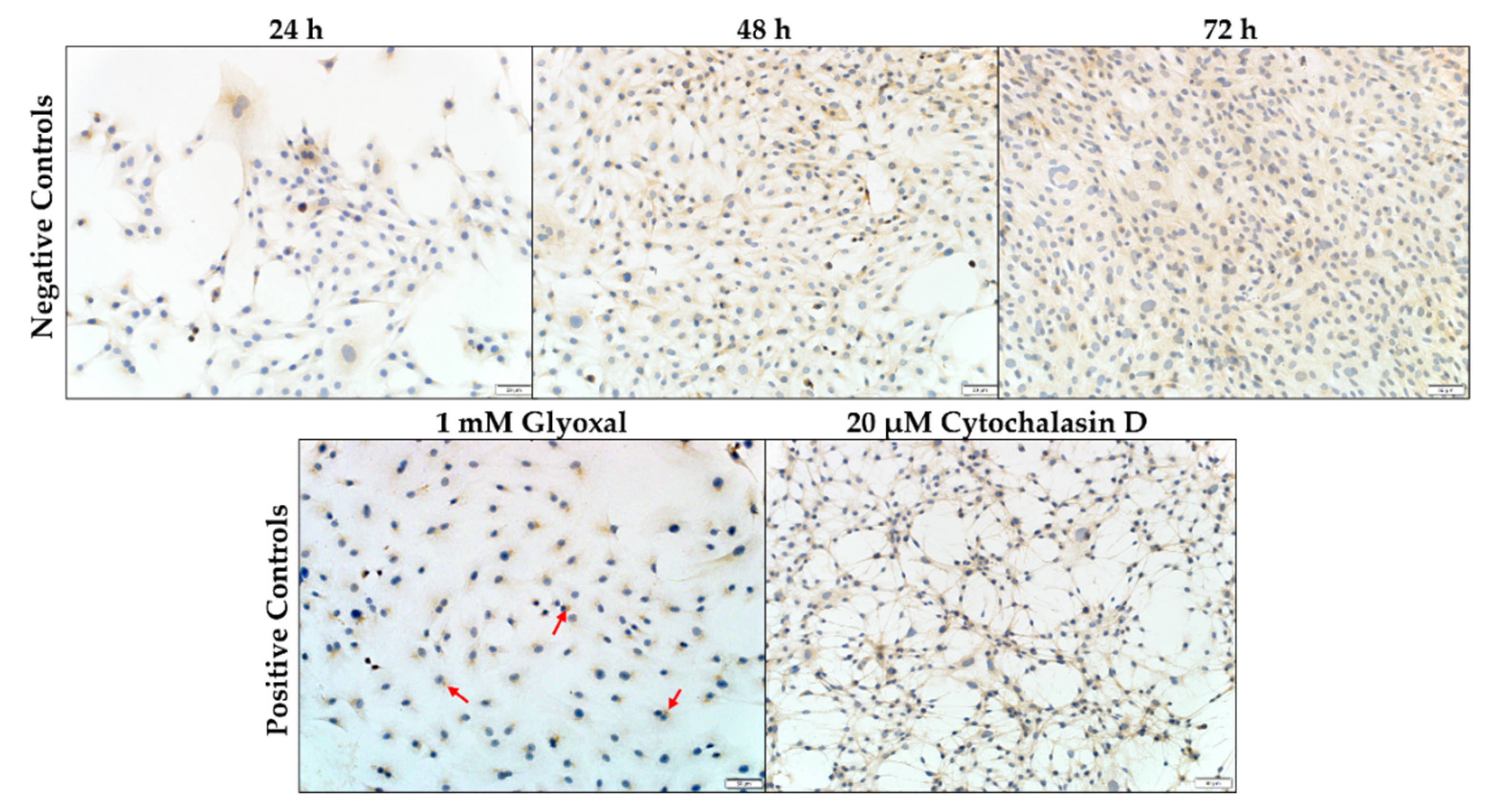 Toxins 14 00447 g005 Toxins 14 00447 g005