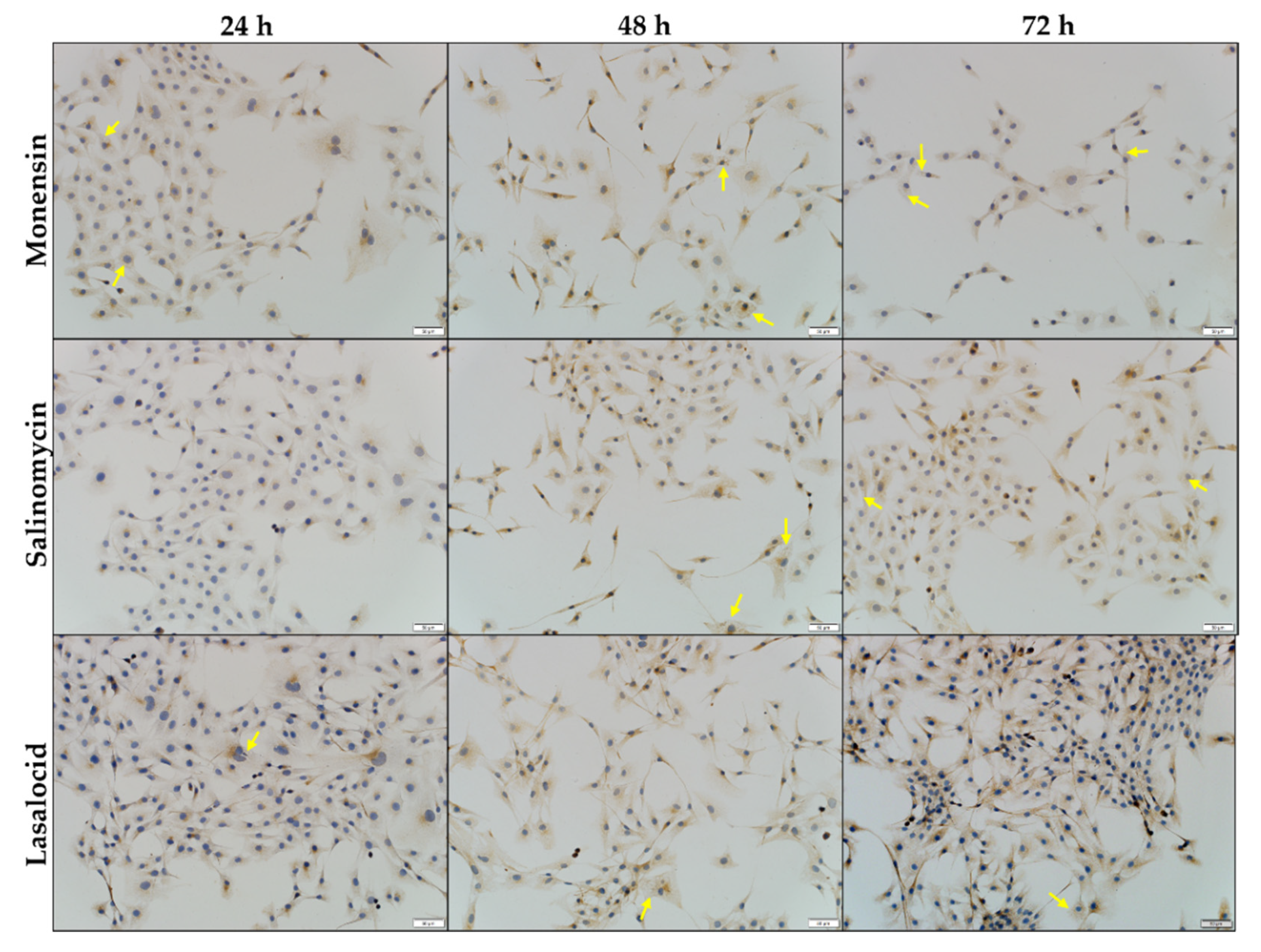 Toxins 14 00447 g006 Toxins 14 00447 g006