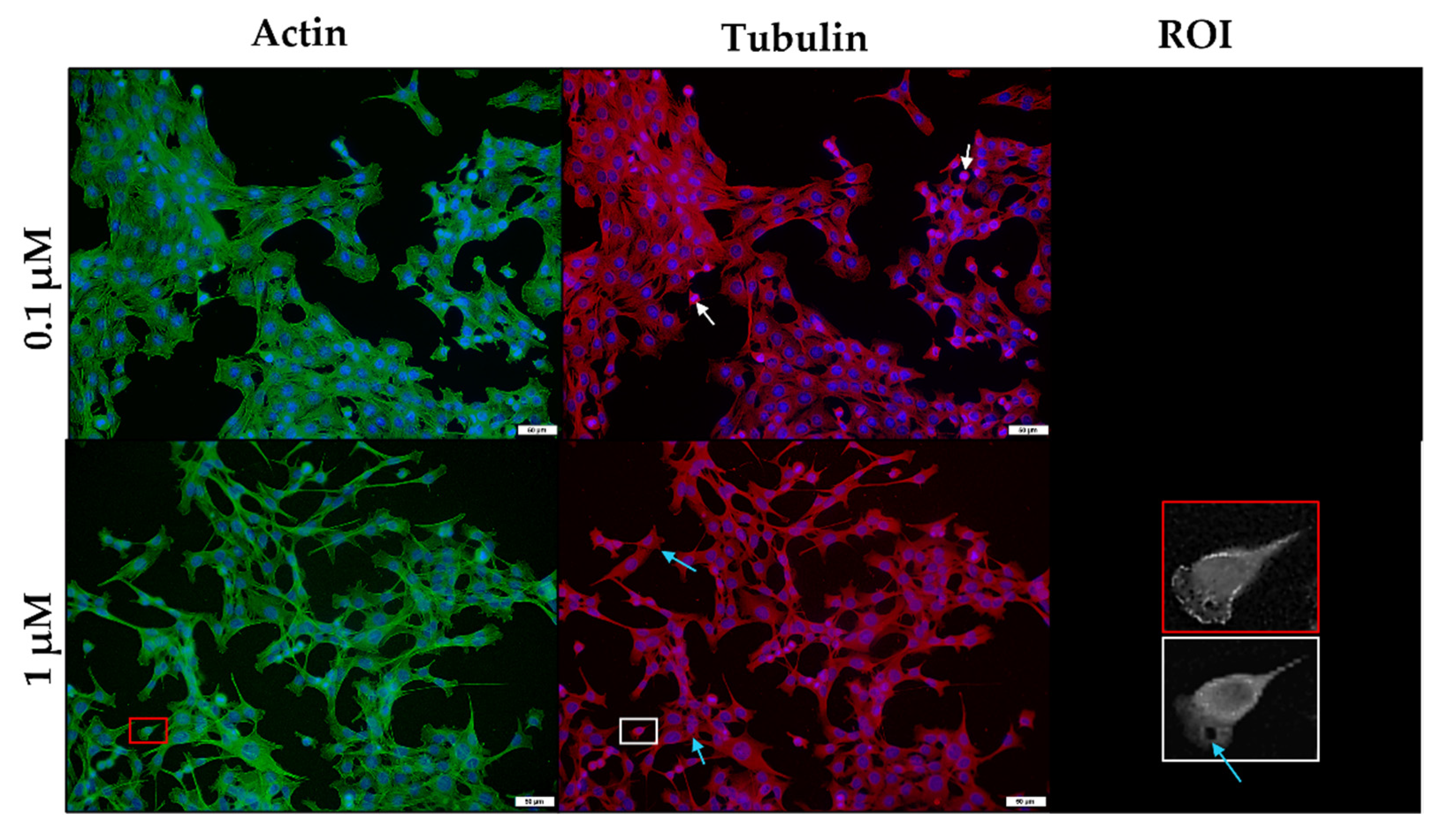 Toxins 14 00447 g010 Toxins 14 00447 g010