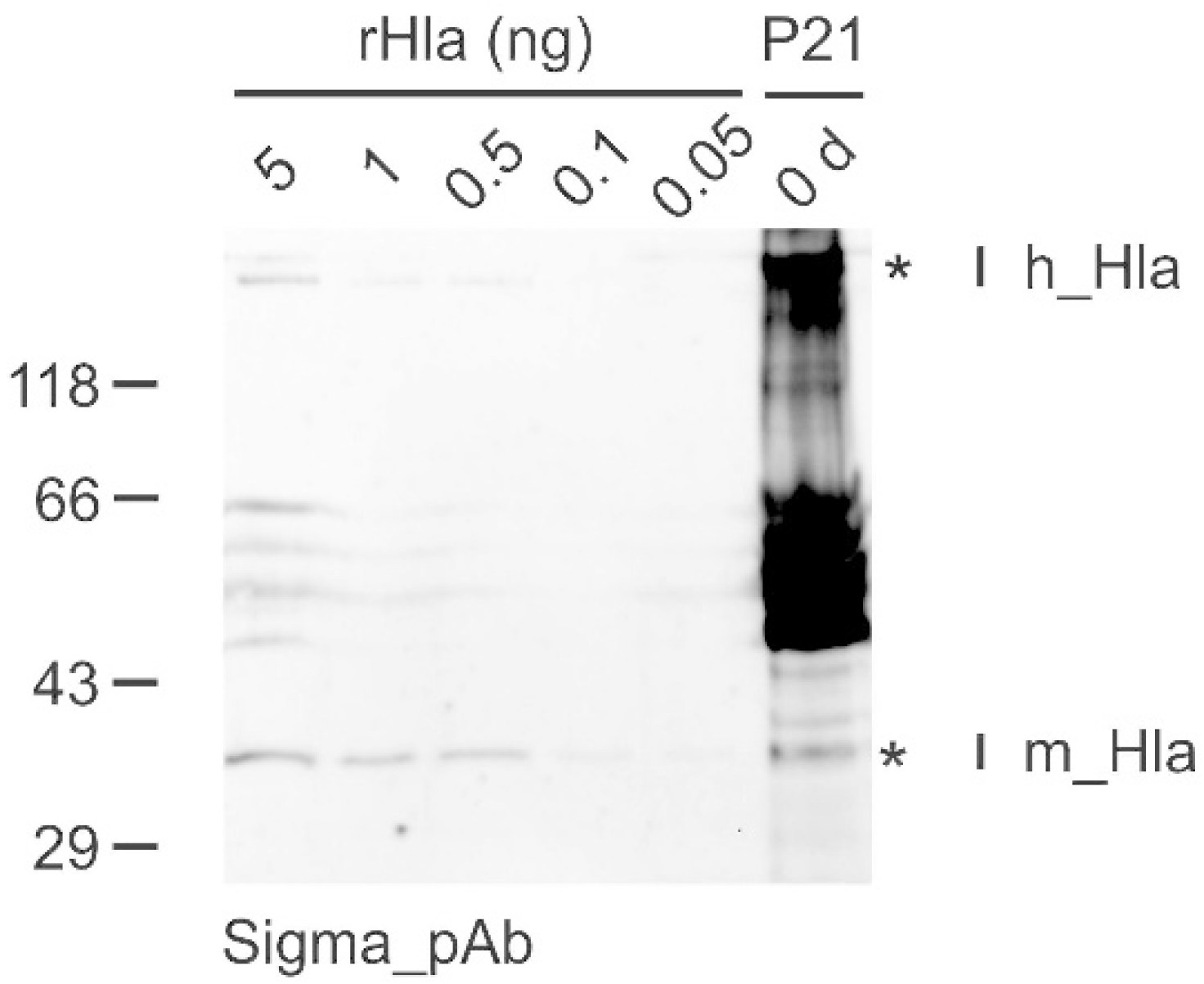 Toxins 14 00450 g002 Toxins 14 00450 g002