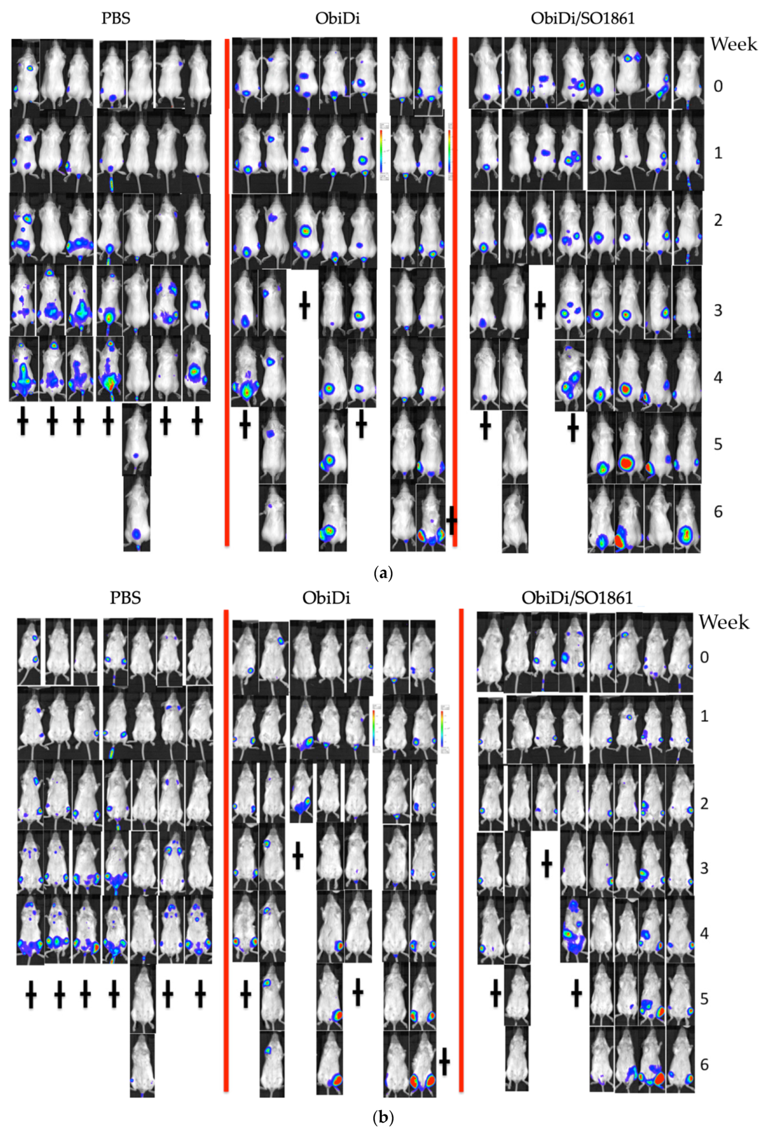 Toxins 14 00478 g005a