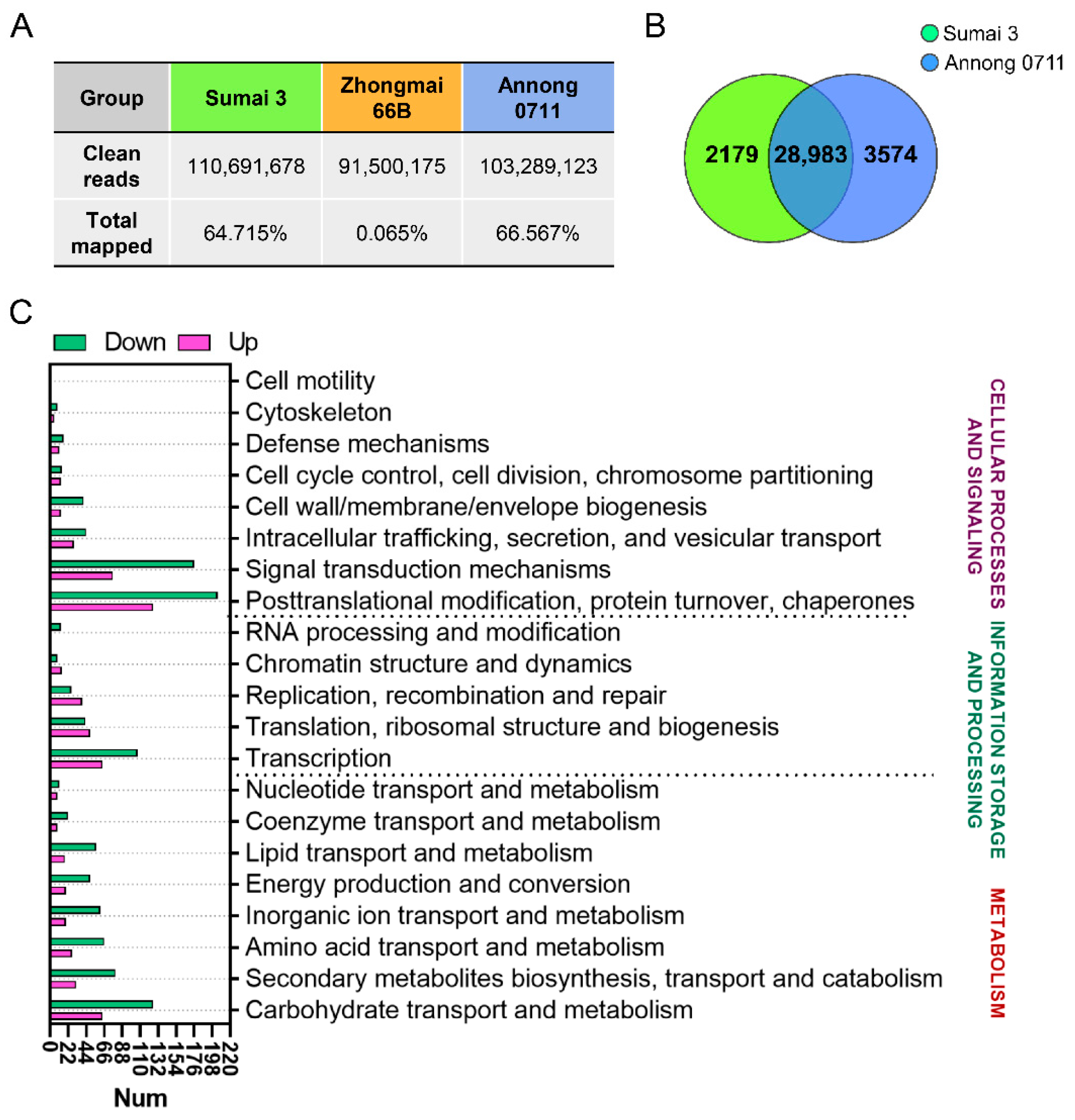 Toxins 14 00482 g004