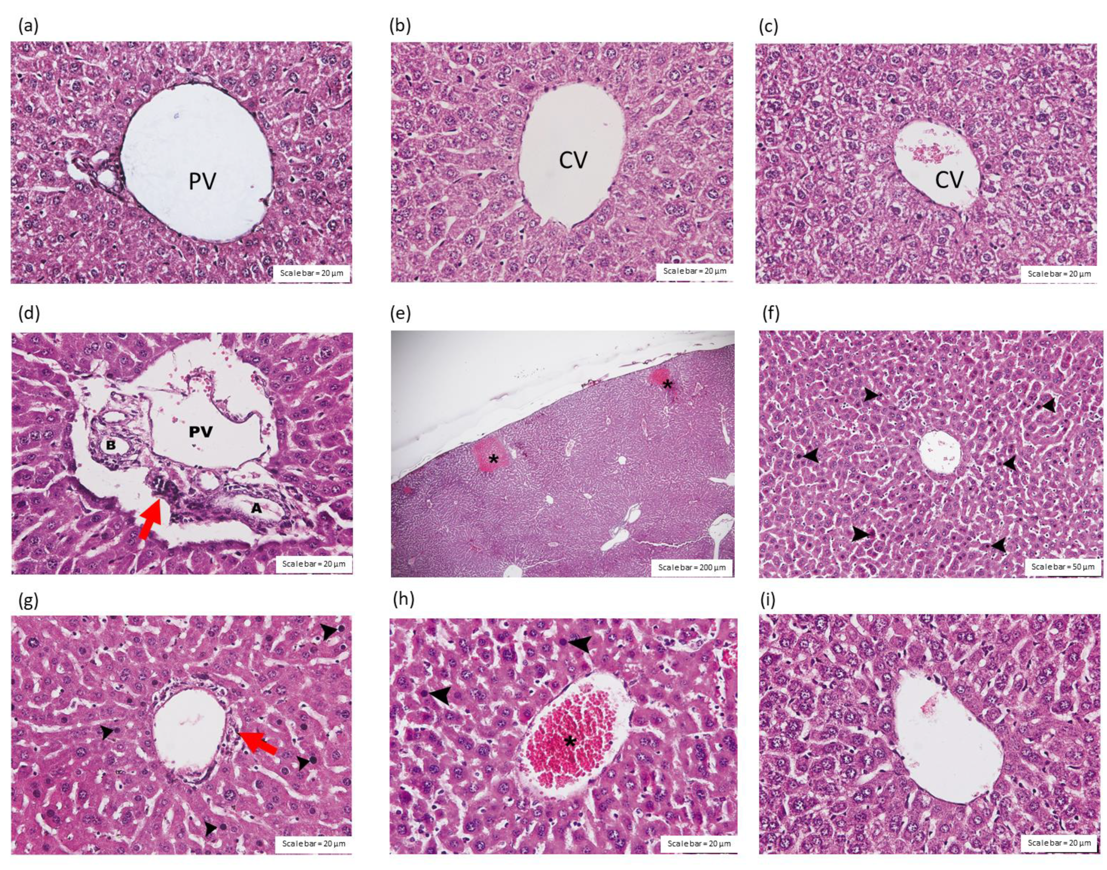 Toxins 14 00601 g004