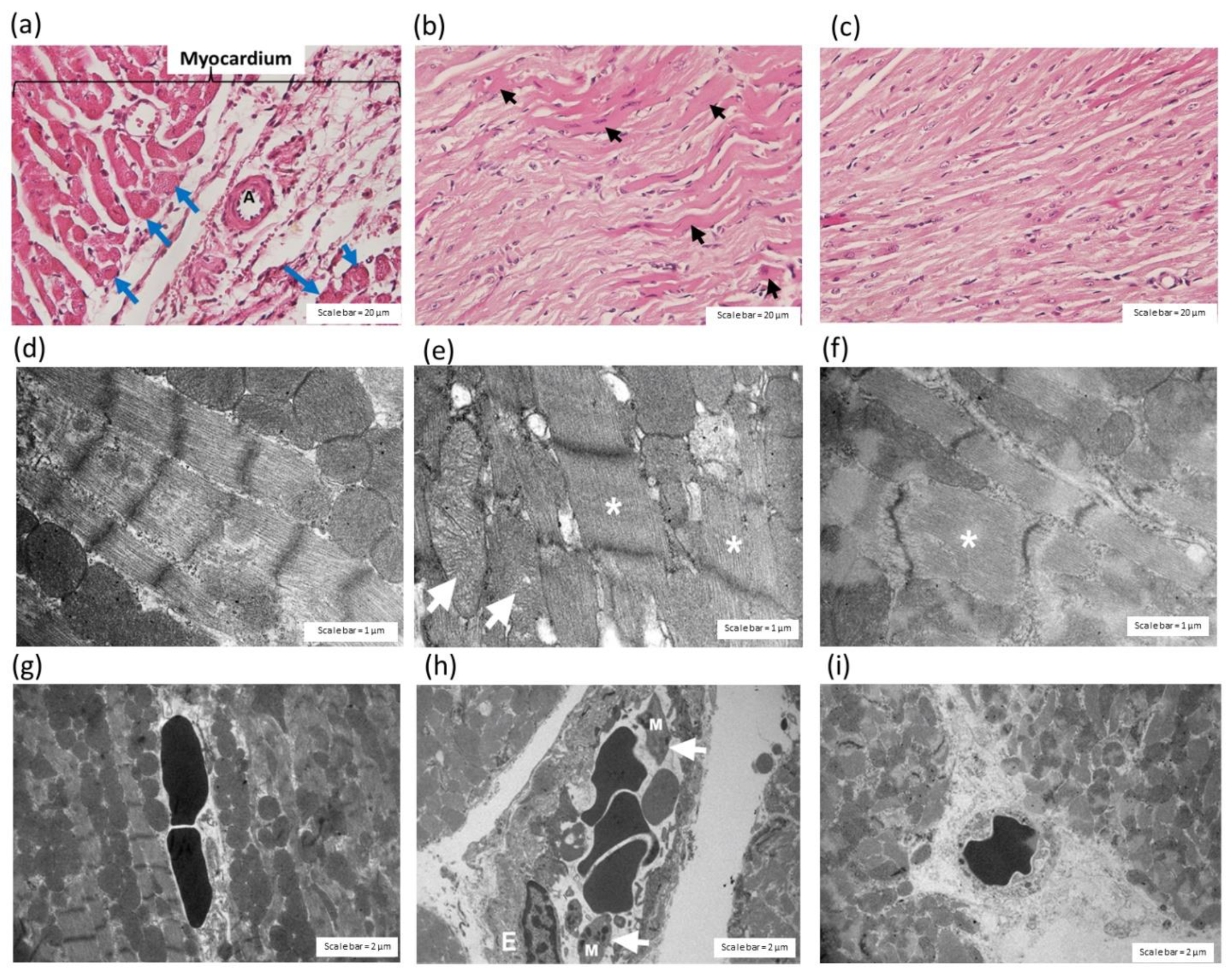 Toxins 14 00601 g006
