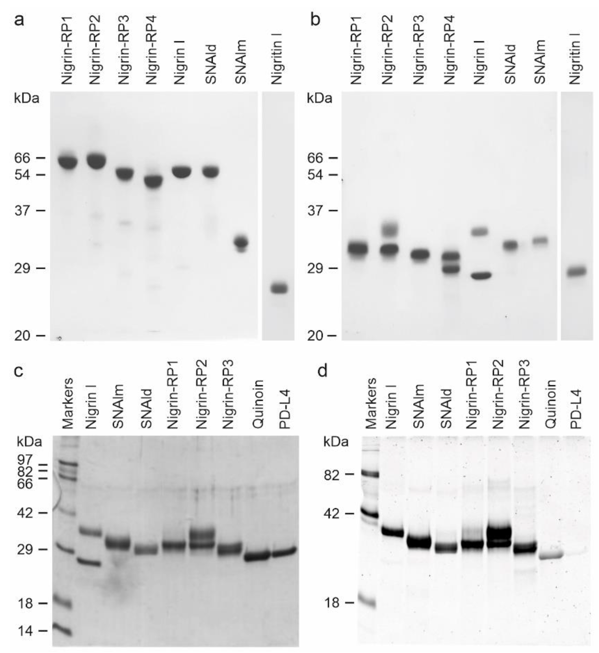 Toxins 14 00611 g004