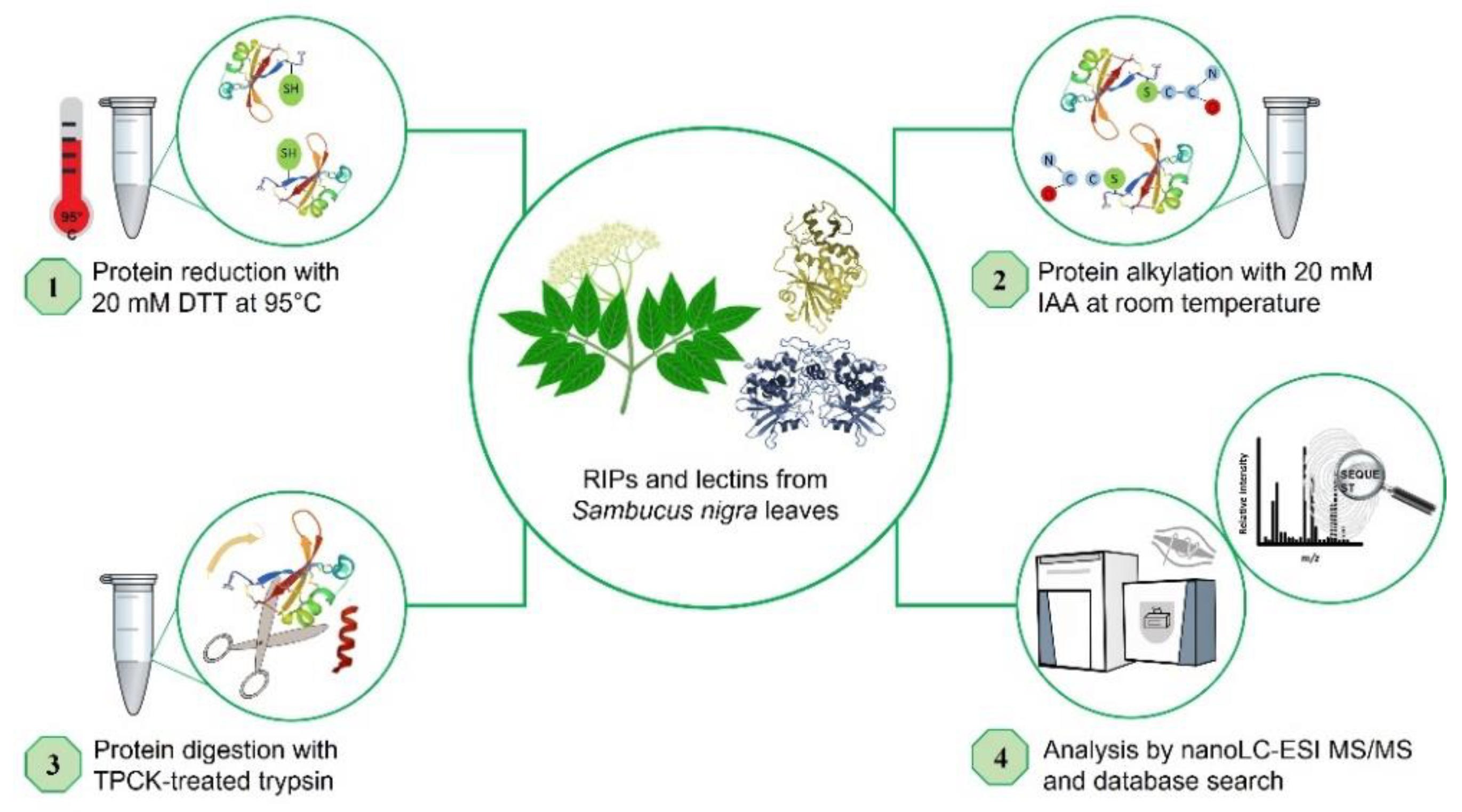 Toxins 14 00611 g006