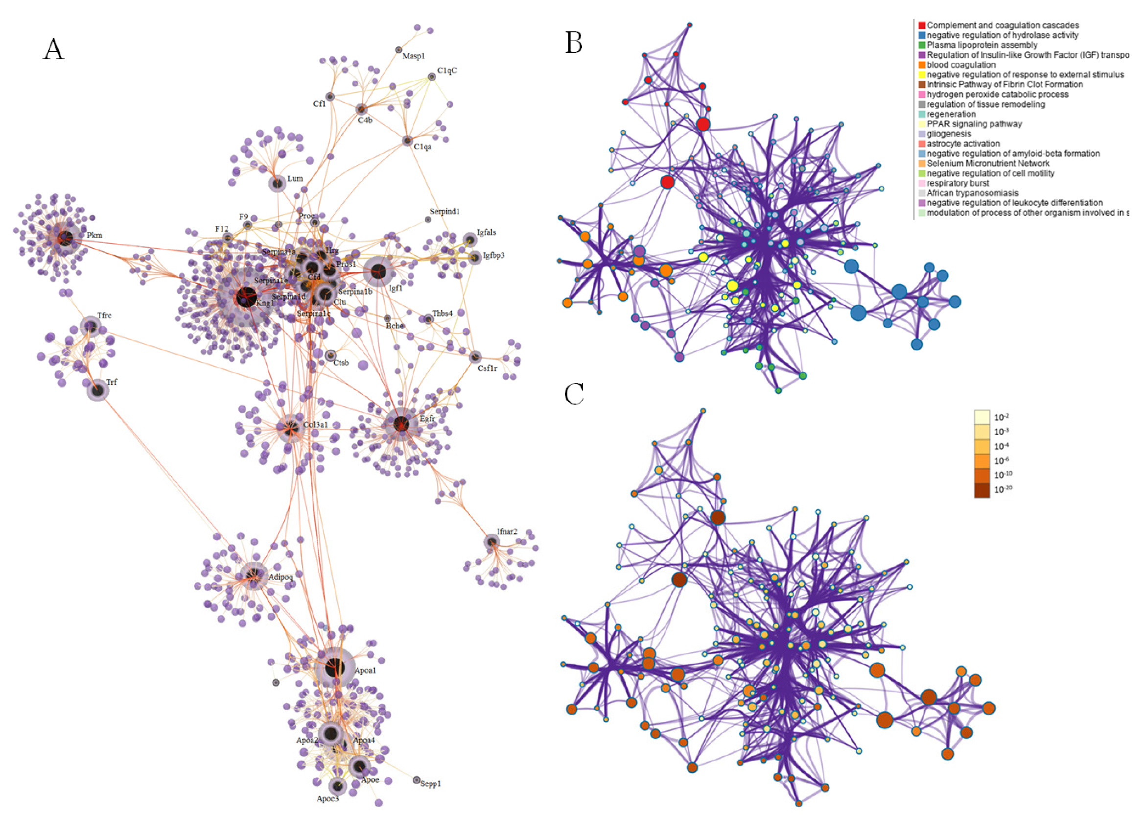 Toxins 14 00613 g007