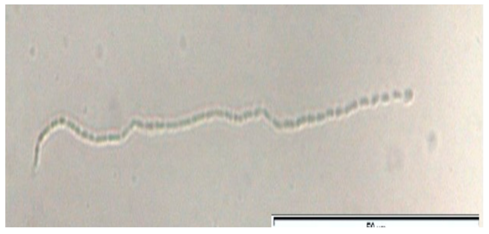 Toxins 14 00638 g001 Toxins 14 00638 g001