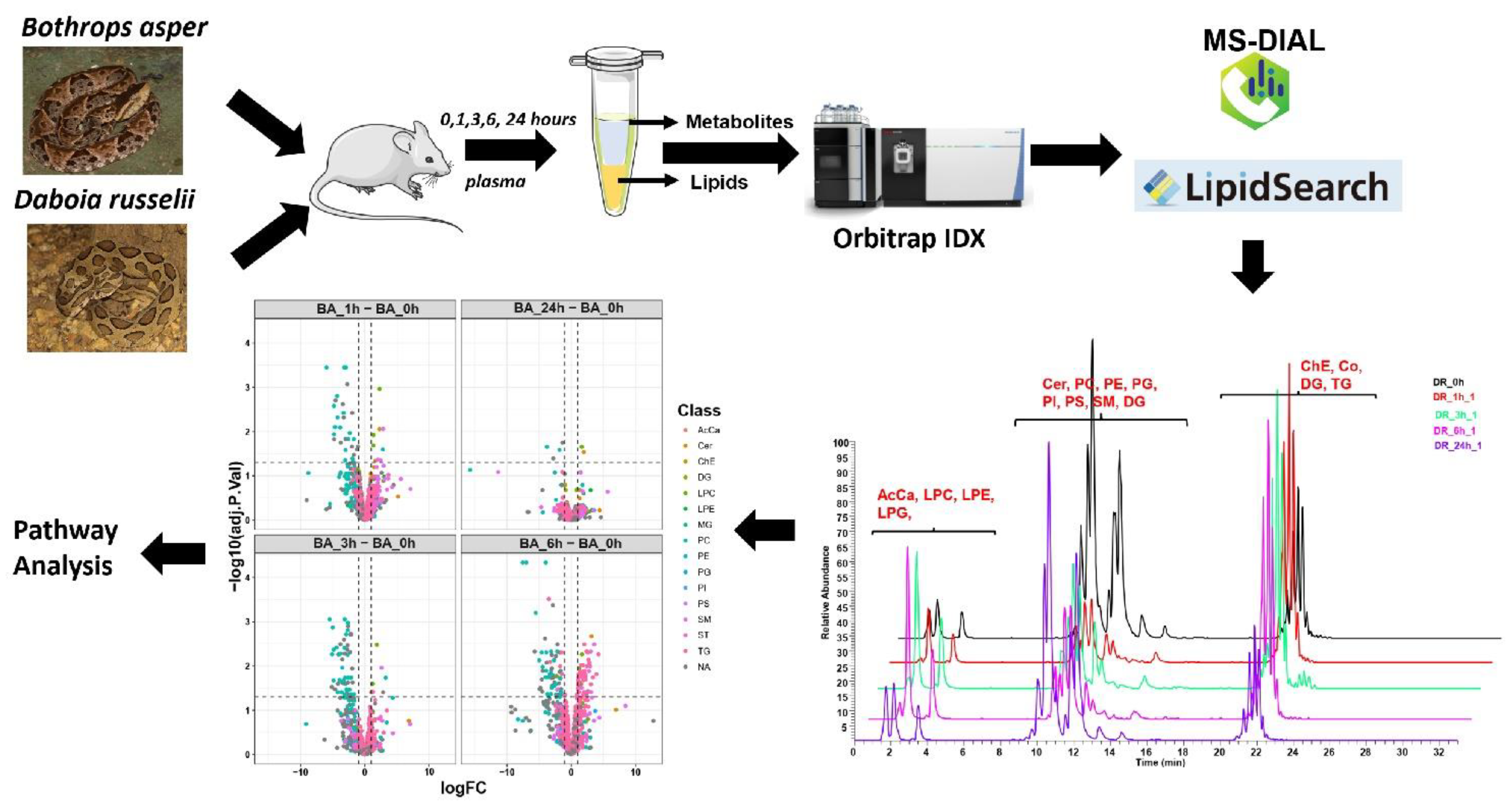 Toxins 14 00657 g001 Toxins 14 00657 g001