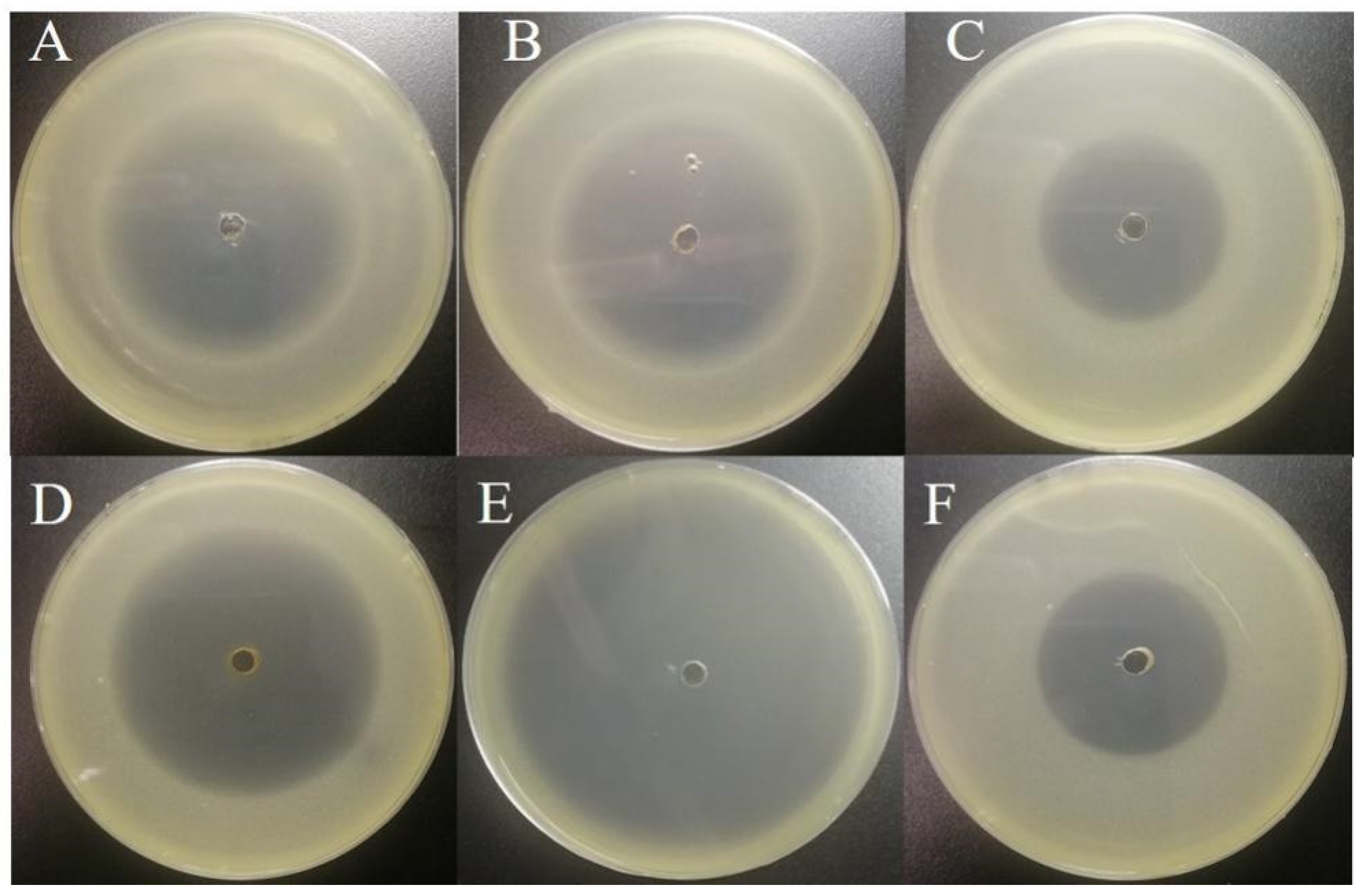 Toxins 14 00698 g006
