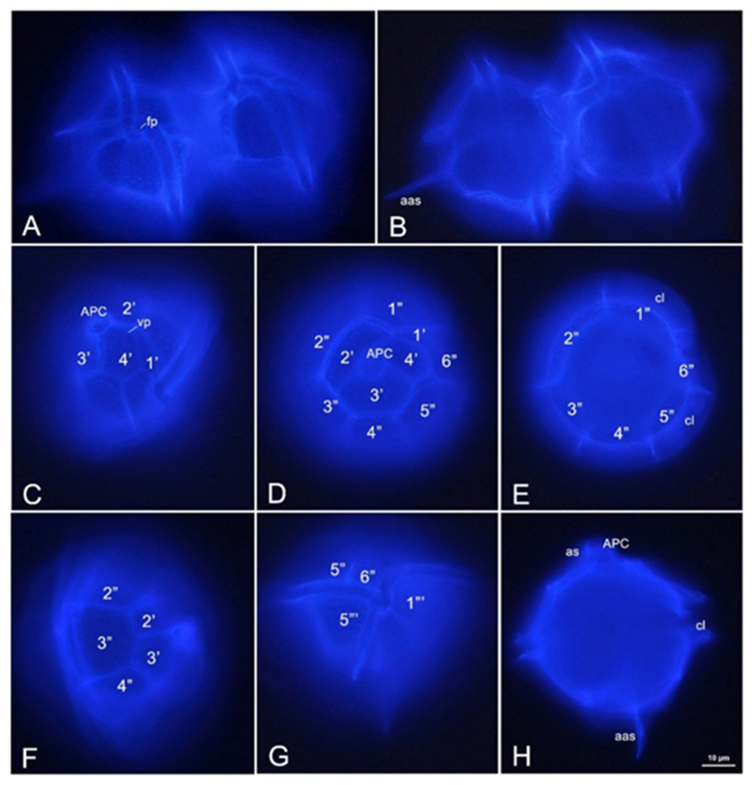 Toxins 14 00760 g002