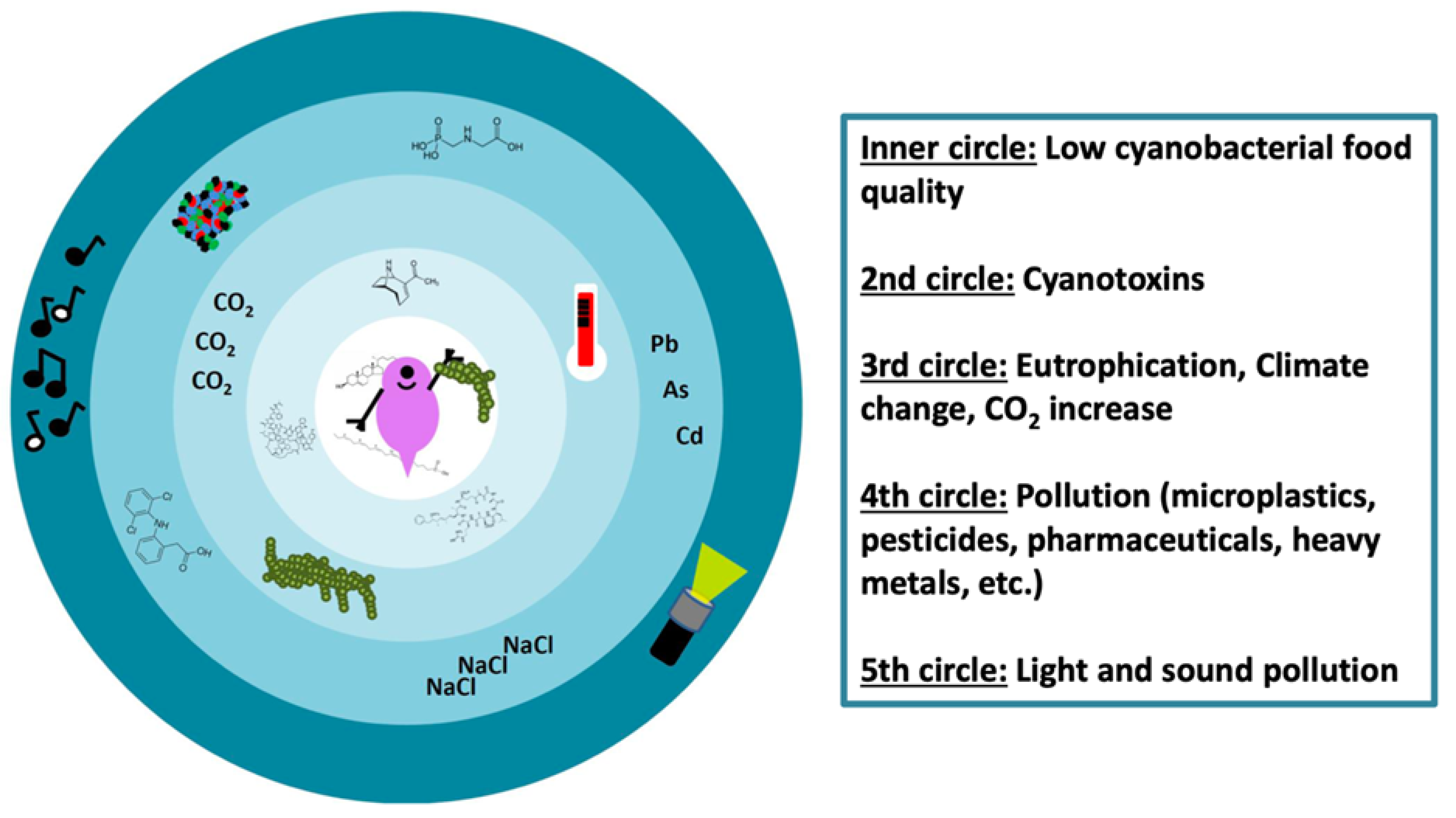 Toxins | Free Full-Text | Negative Effects of Cyanotoxins and