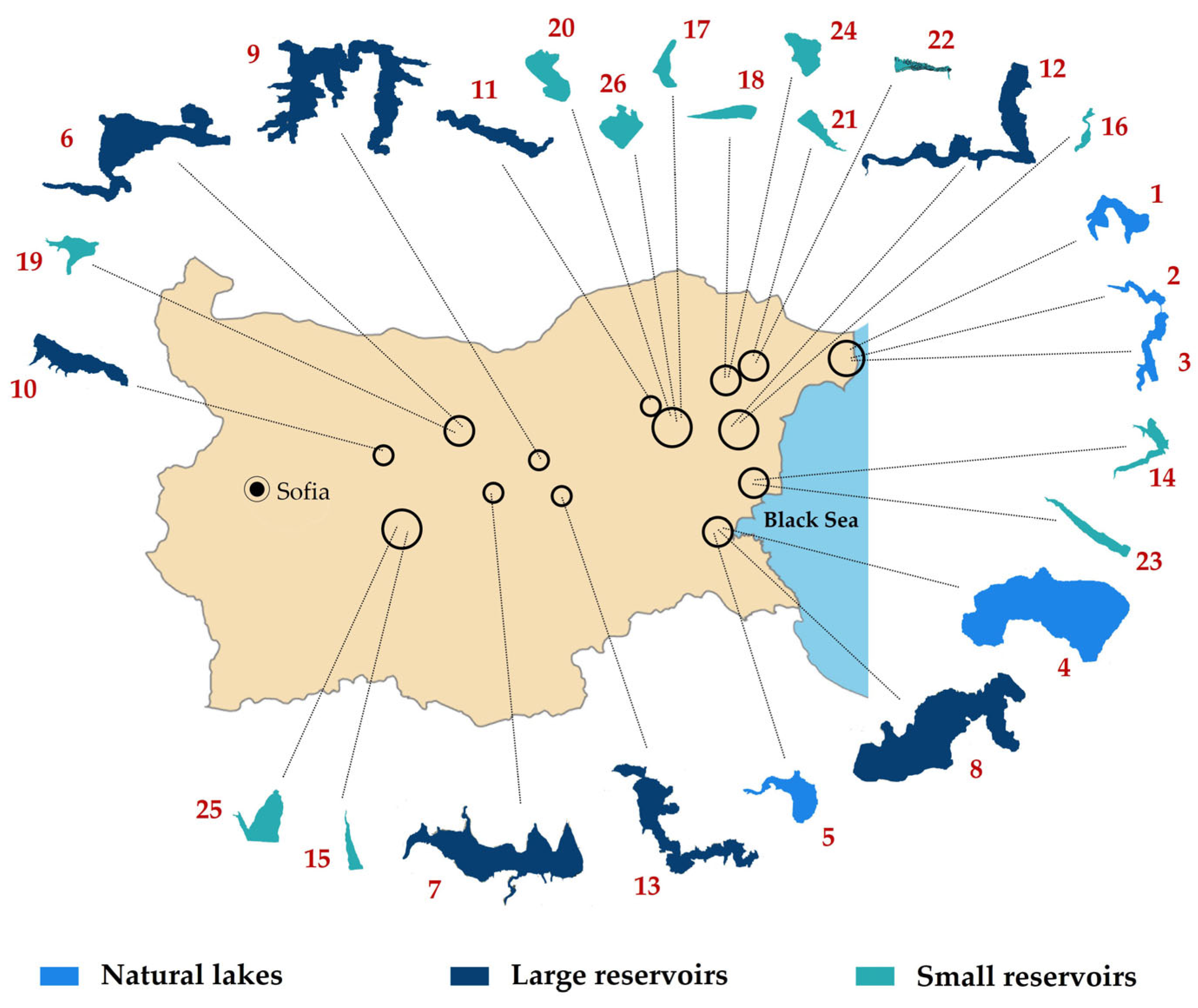 Toxins 14 00778 g008