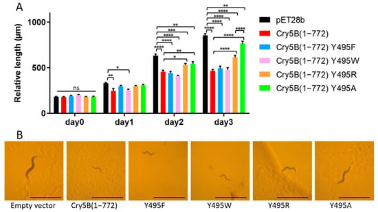 Galactose protects hookworm adults from Cry5B intoxication. All panels