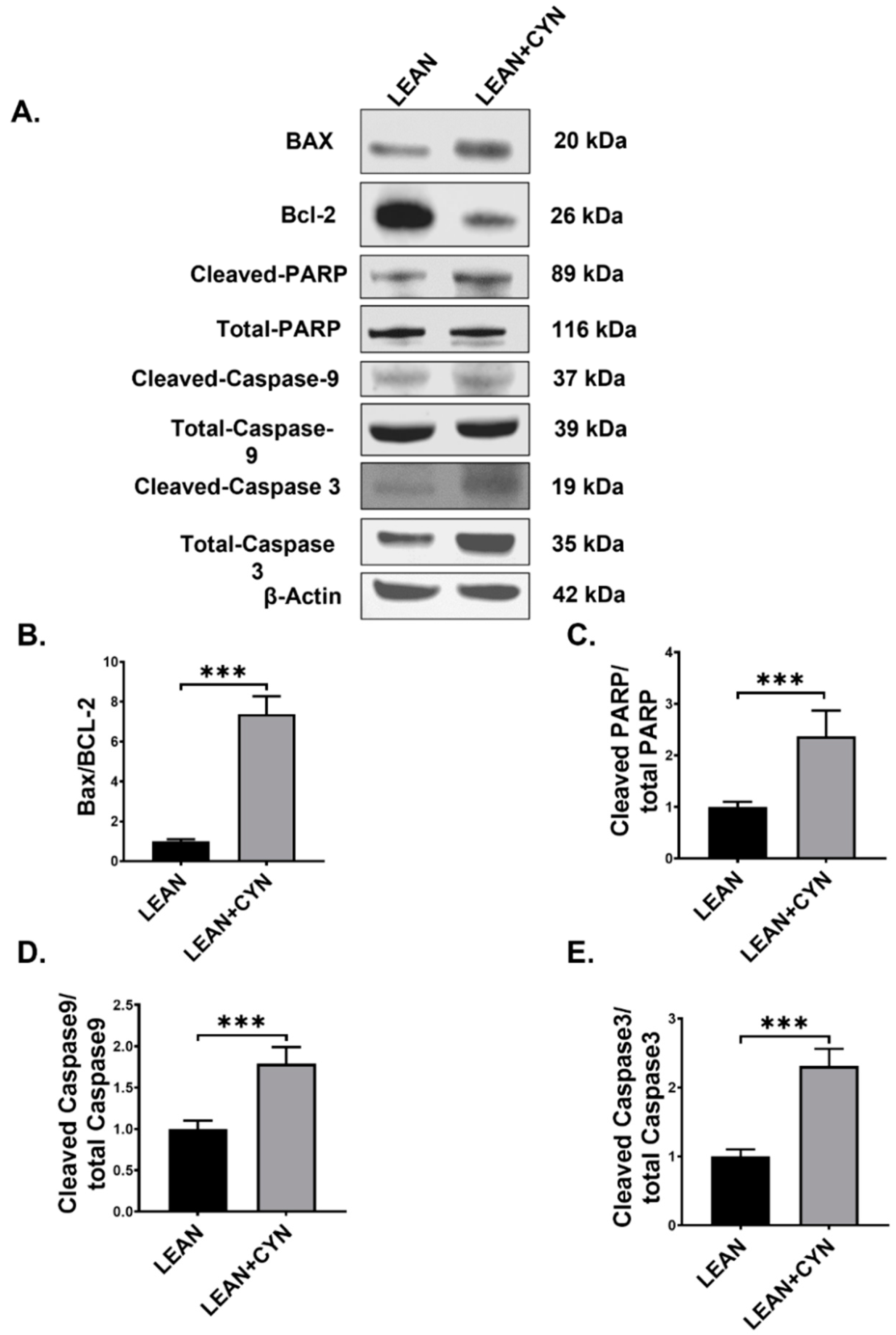 Toxins 14 00835 g007