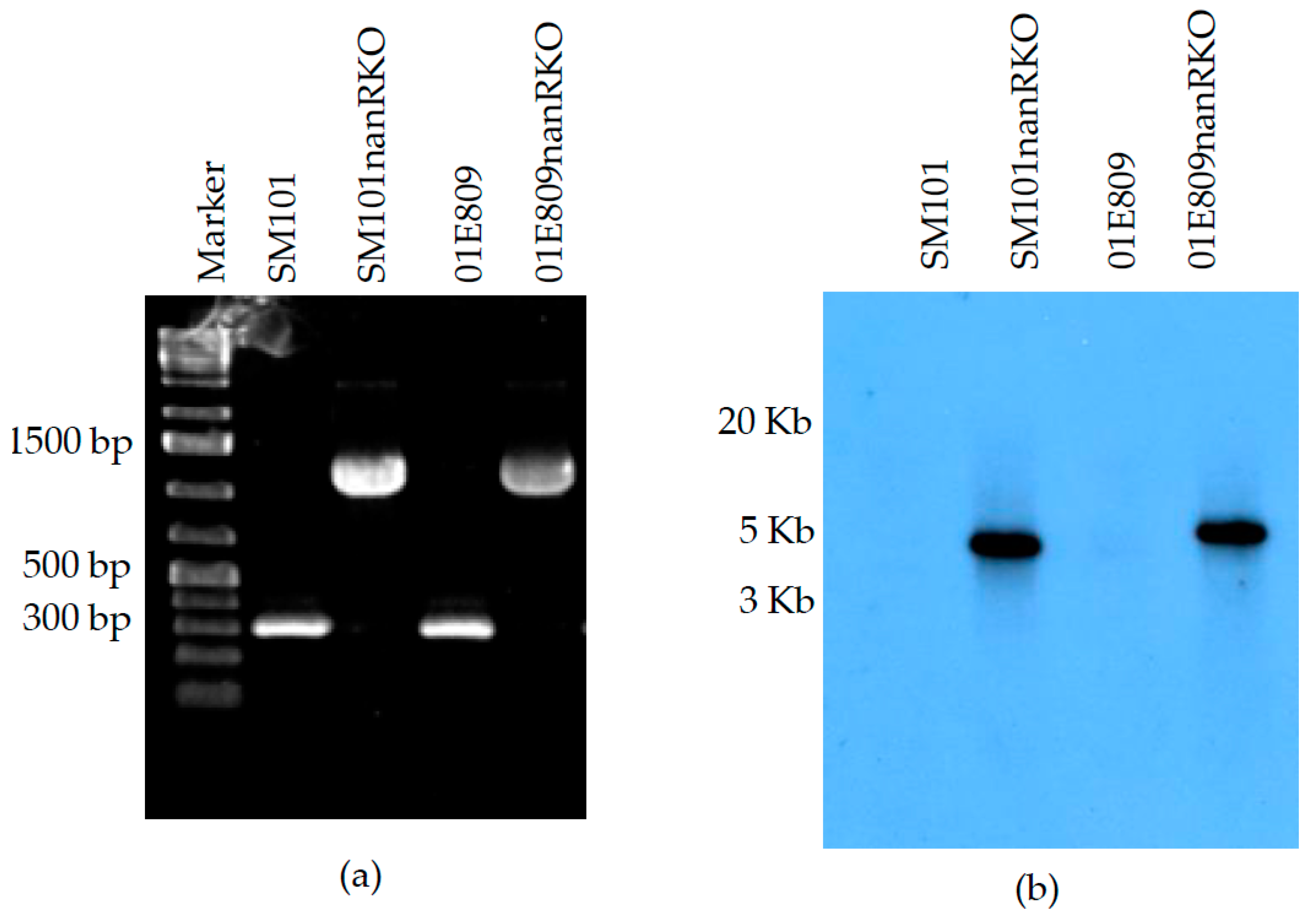 Toxins 14 00872 g001