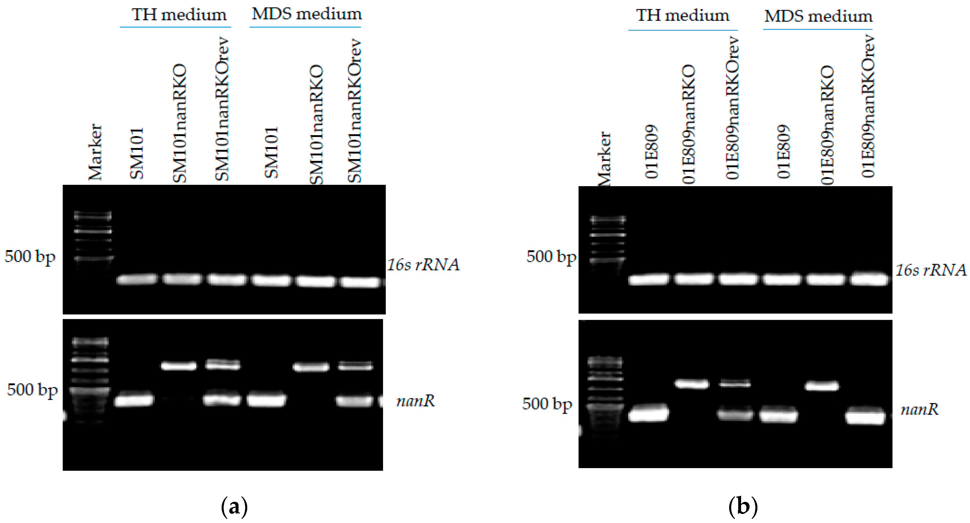 Toxins 14 00872 g002