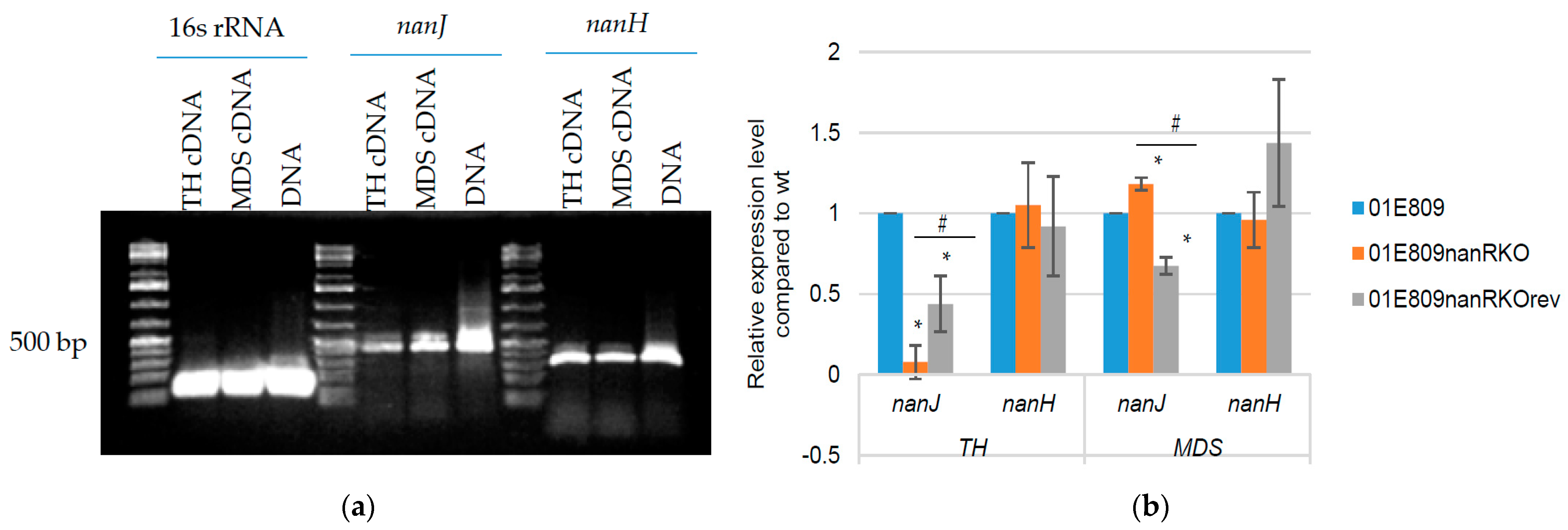 Toxins 14 00872 g005