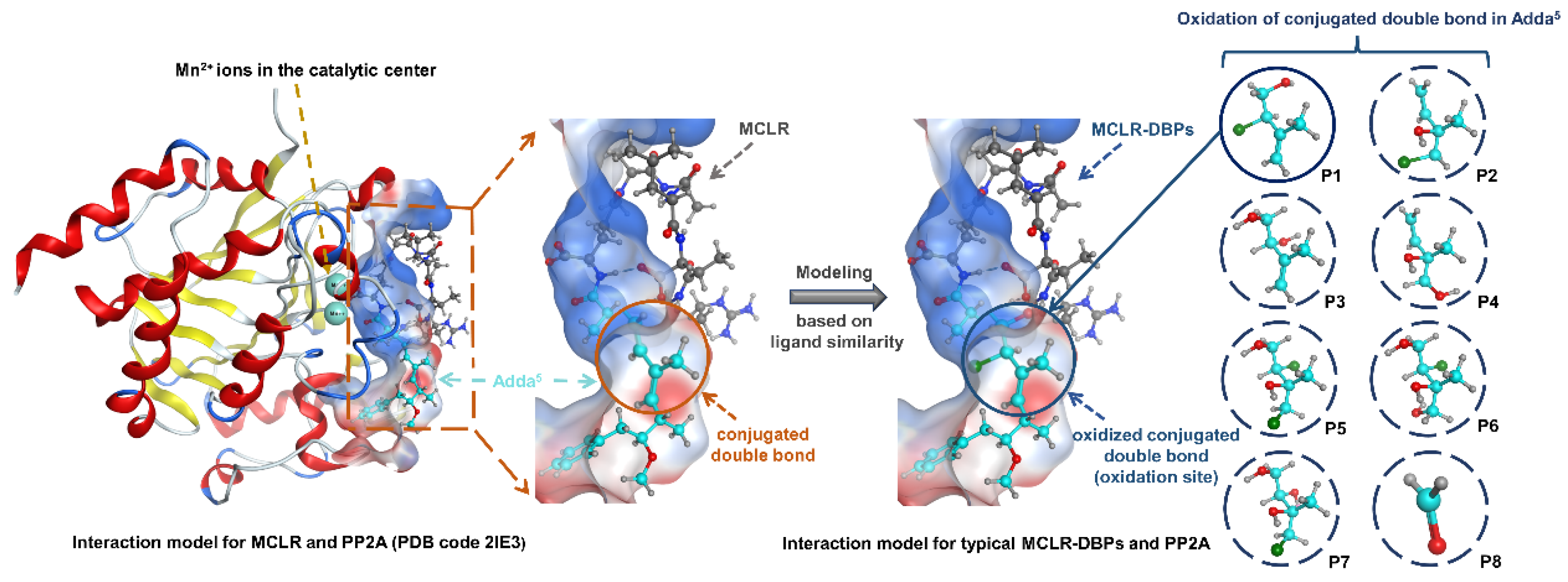 Toxins 14 00878 g004