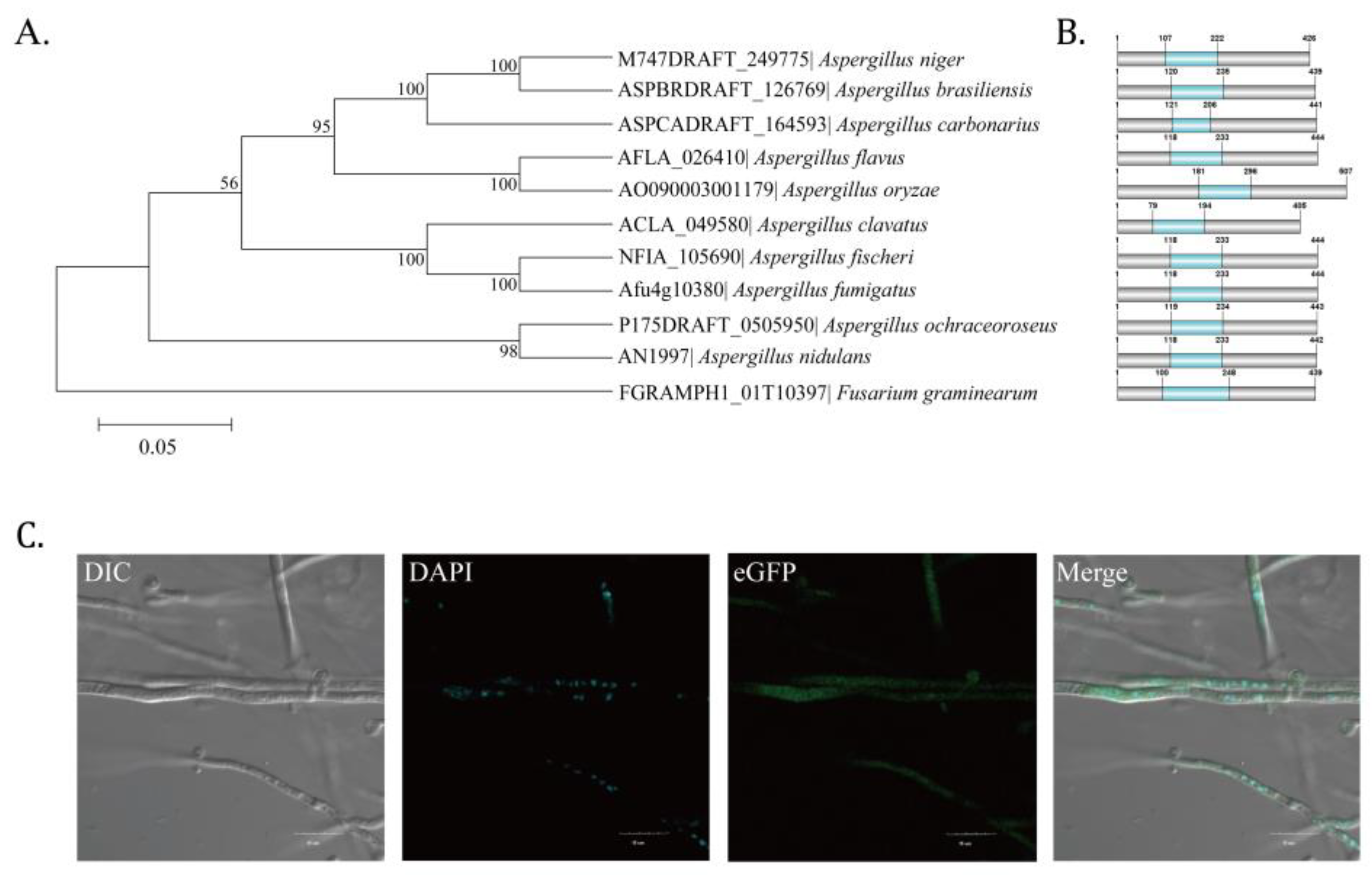 Toxins 14 00883 g001