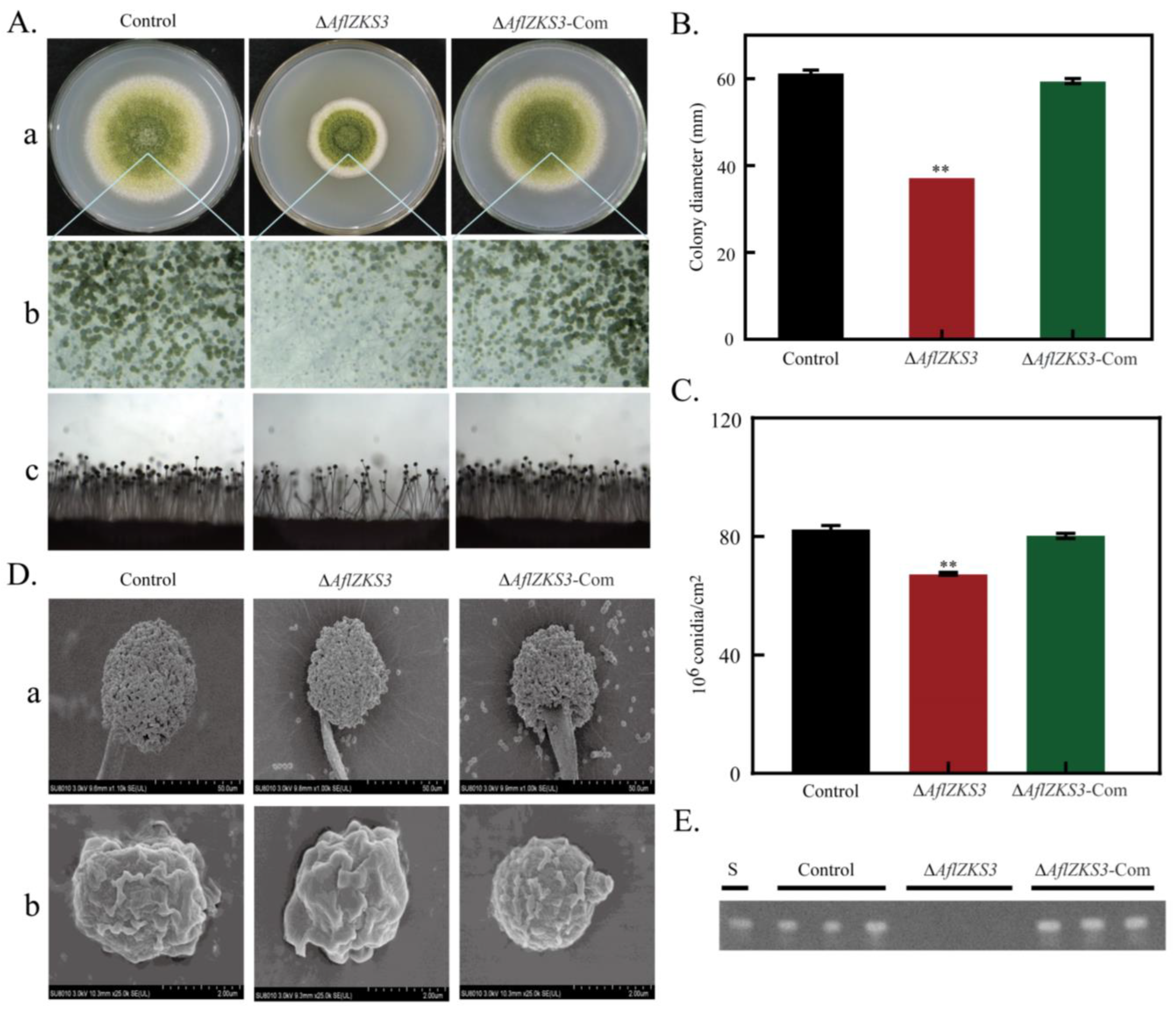 Toxins 14 00883 g002