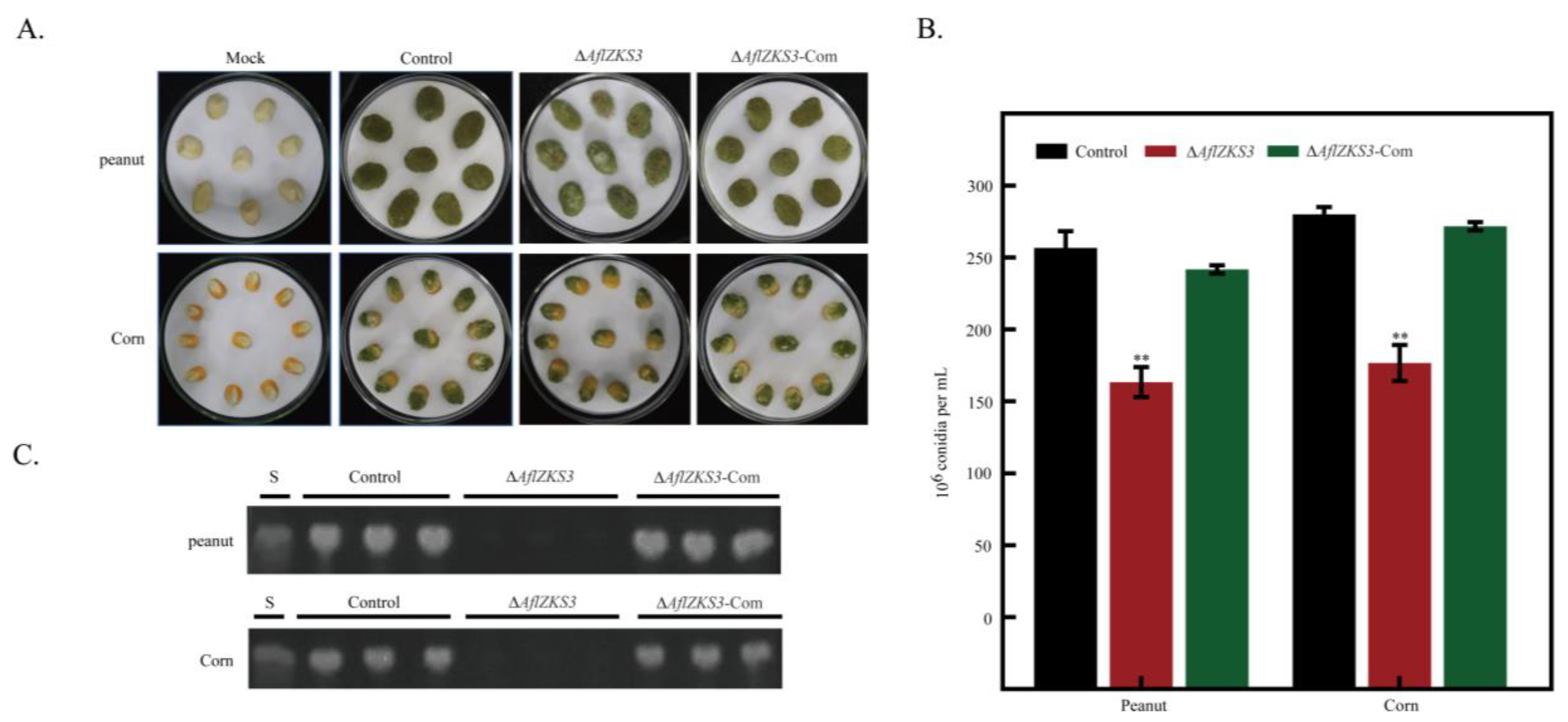 Toxins 14 00883 g004