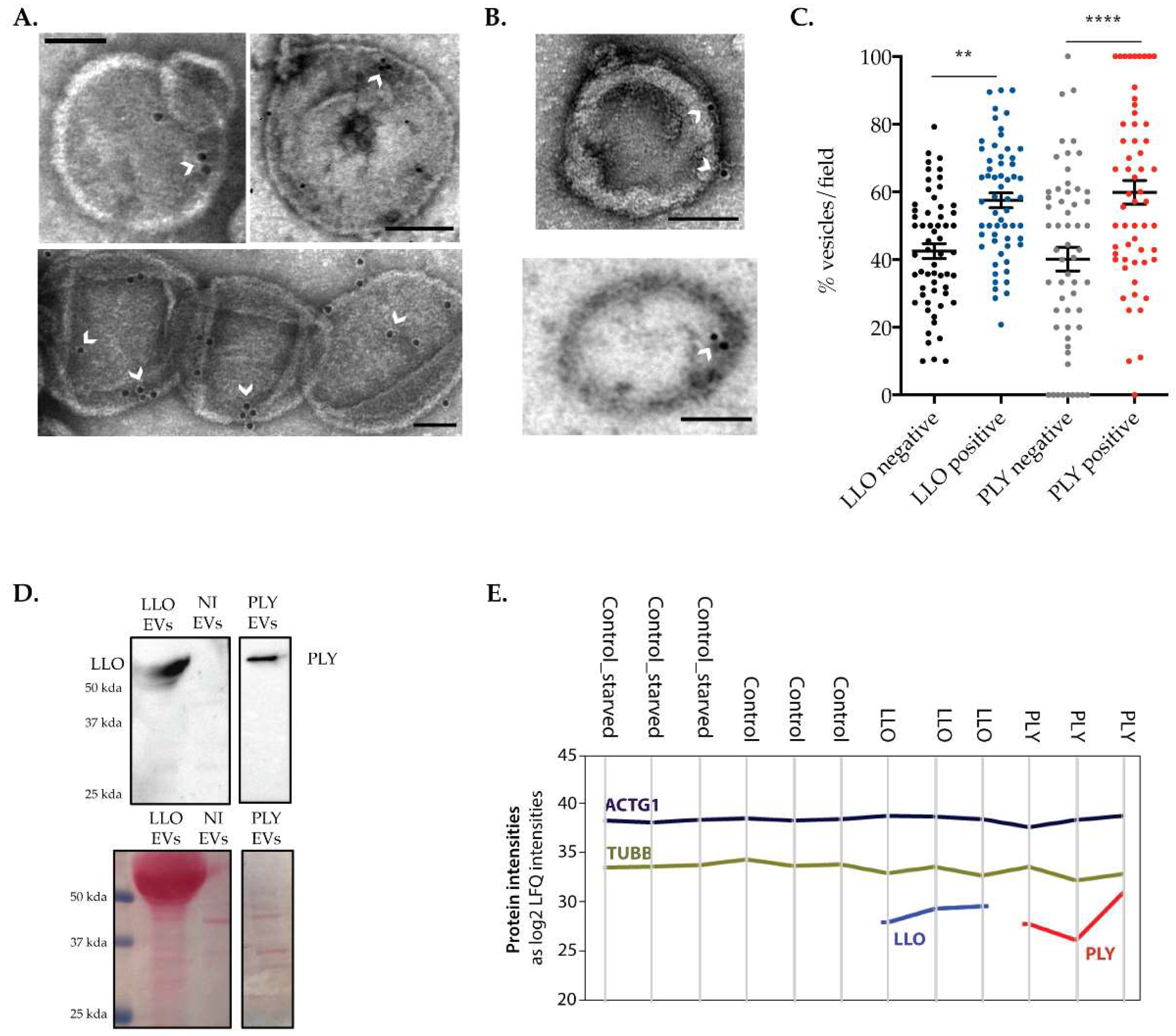 Toxins 15 00004 g004