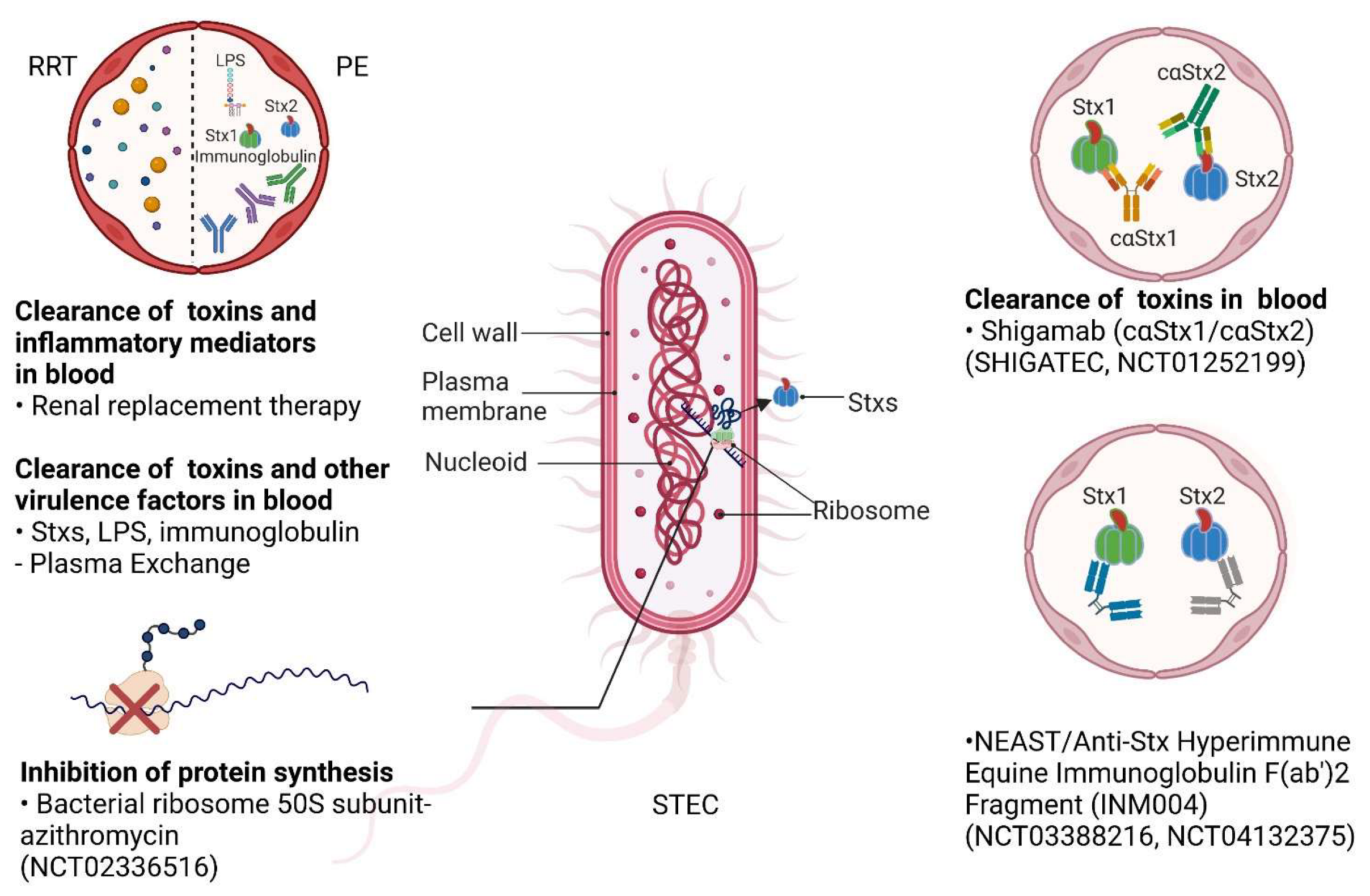 Toxins | Free Full-Text | Diagnosis and Treatment for Shiga Toxin 