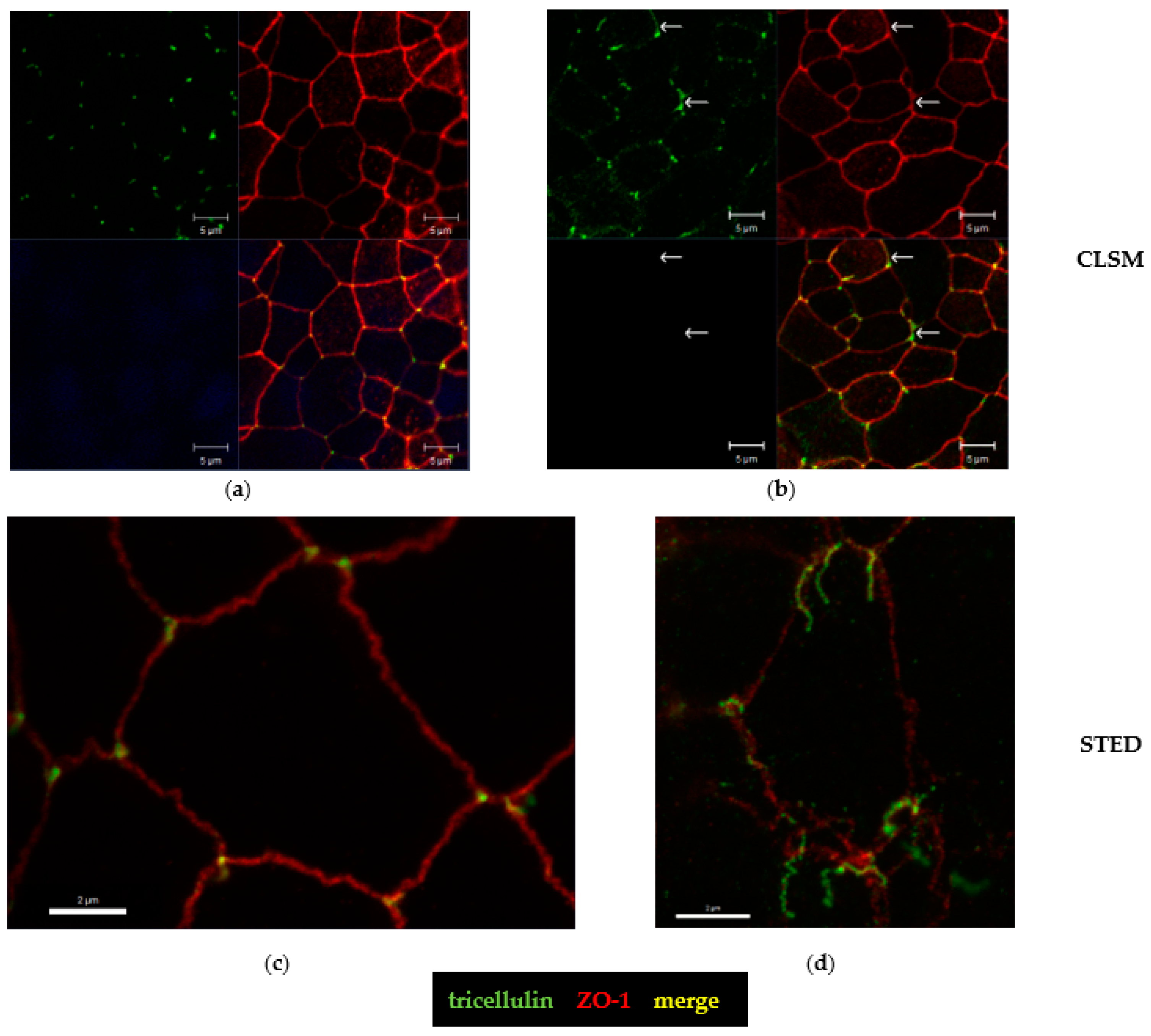 Toxins 15 00054 g007 Toxins 15 00054 g007